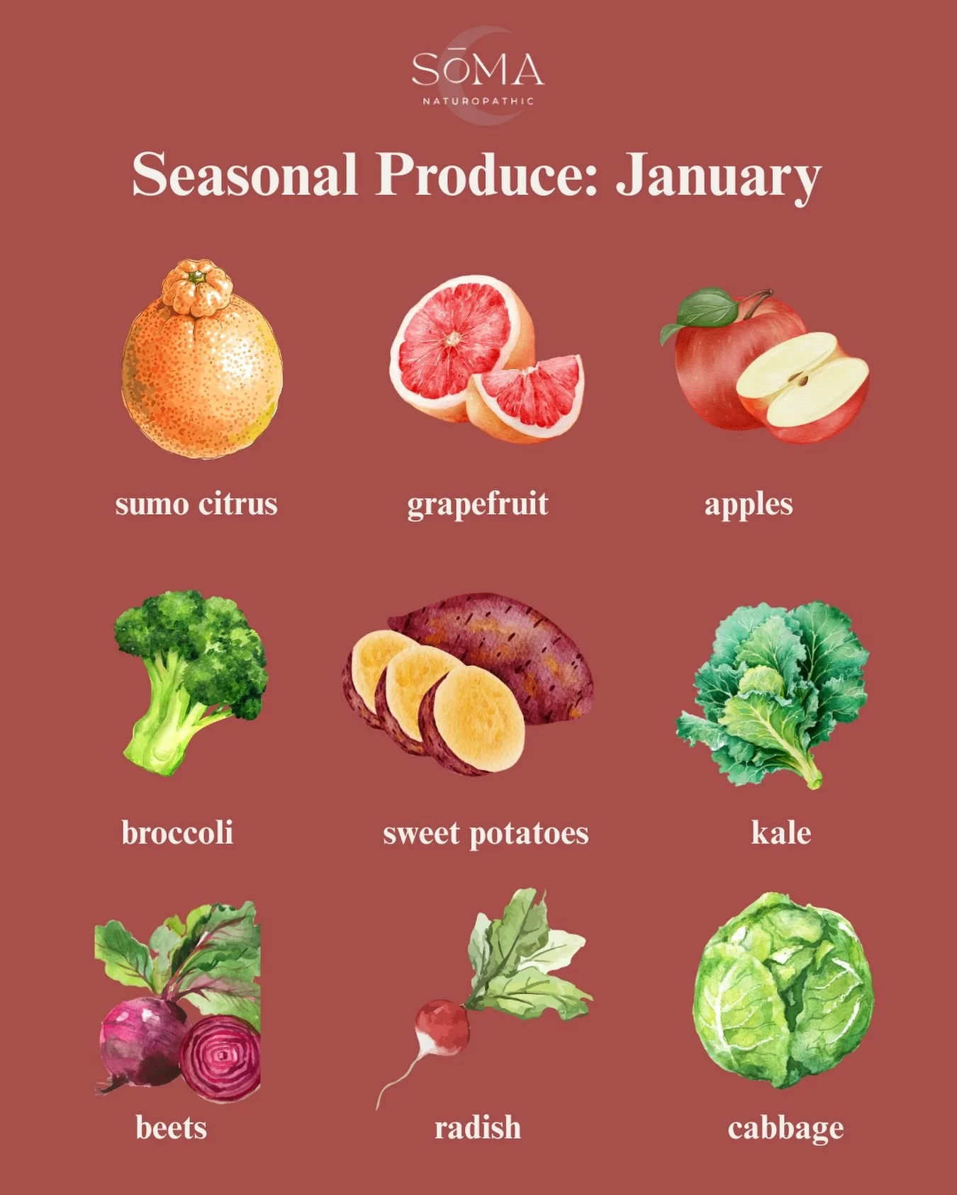 Shop locally, eat seasonally😇🍊

#naturopathicmedicine #womenshealth #nutrition #seasonaleating