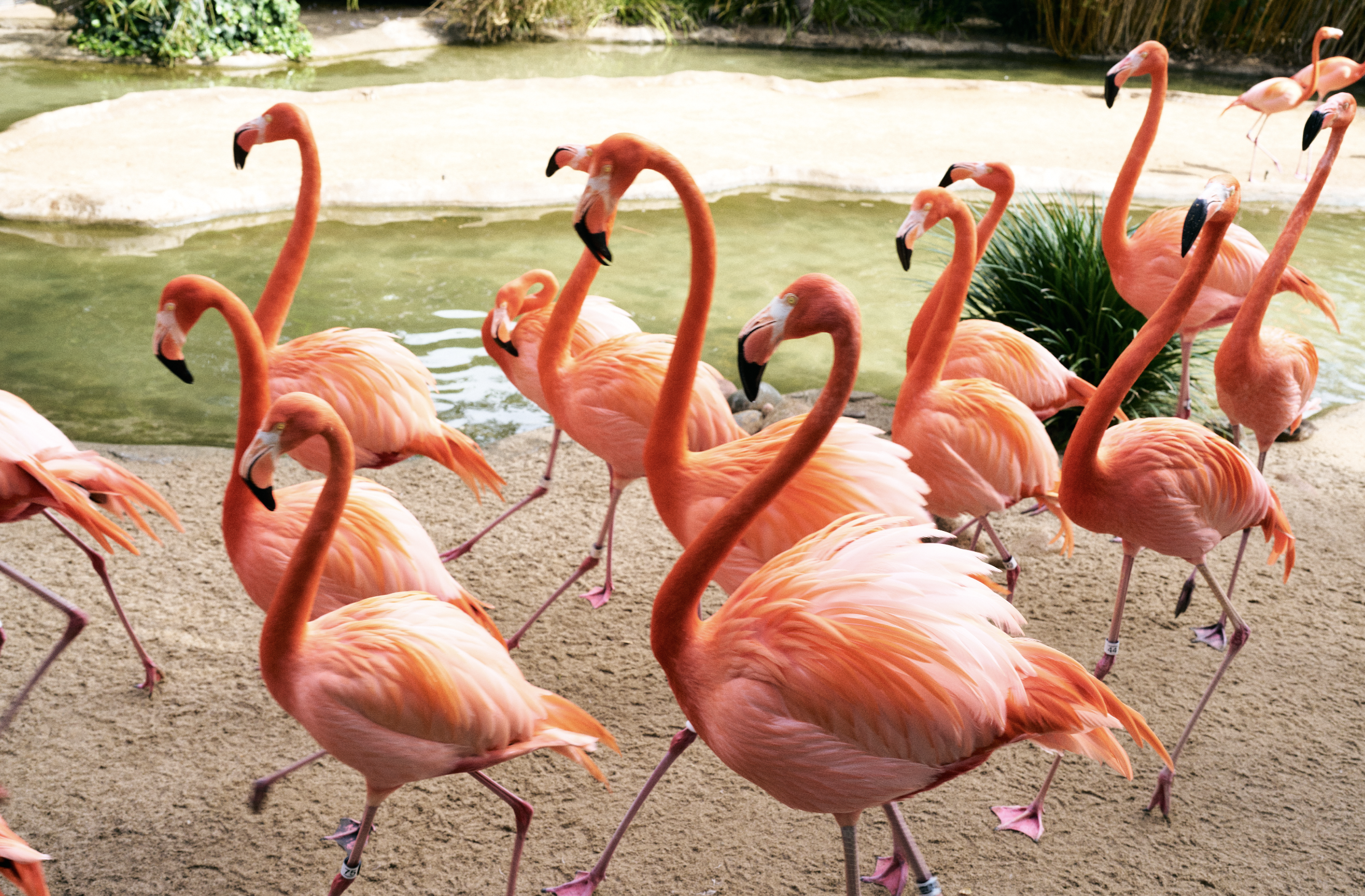 Screenshot 2026-04-06 at 4.47.40 PM.png