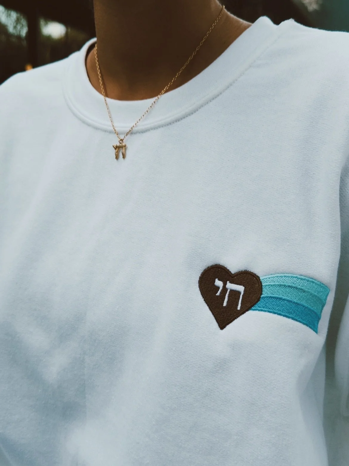 This year, we partnered with seven Jewish businesses and organizations, including @thechaisocietyaz, @casa26bh, @friendsofkayla, @roxosalon, @meetoosh, @kjc.sandiego and @dyegirl_chicago. These collaborations expanded what Jewish pride can look like 