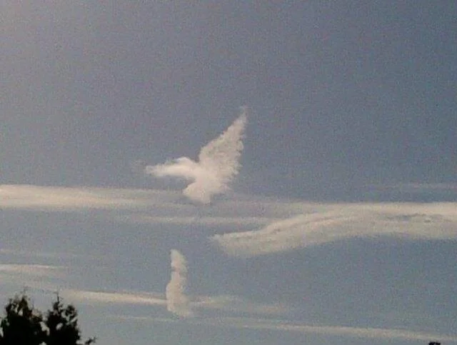 Chai Vekayam is rooted in the belief that life continues, and so does responsibility.

Giving back is woven into our brand, from supporting Jewish communities and global small businesses to empowering students to create, sell, and lead on their own t