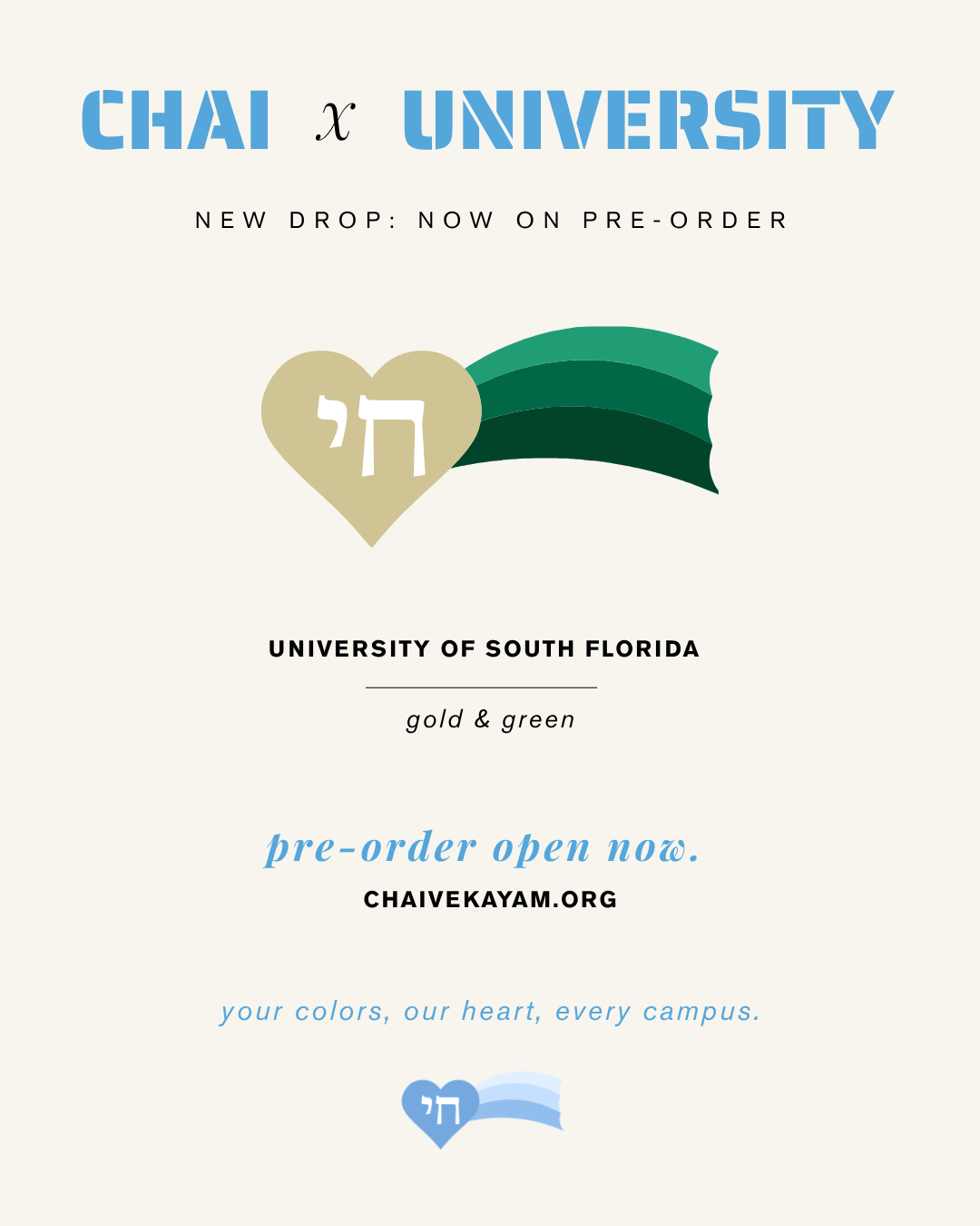 usf ssi.png