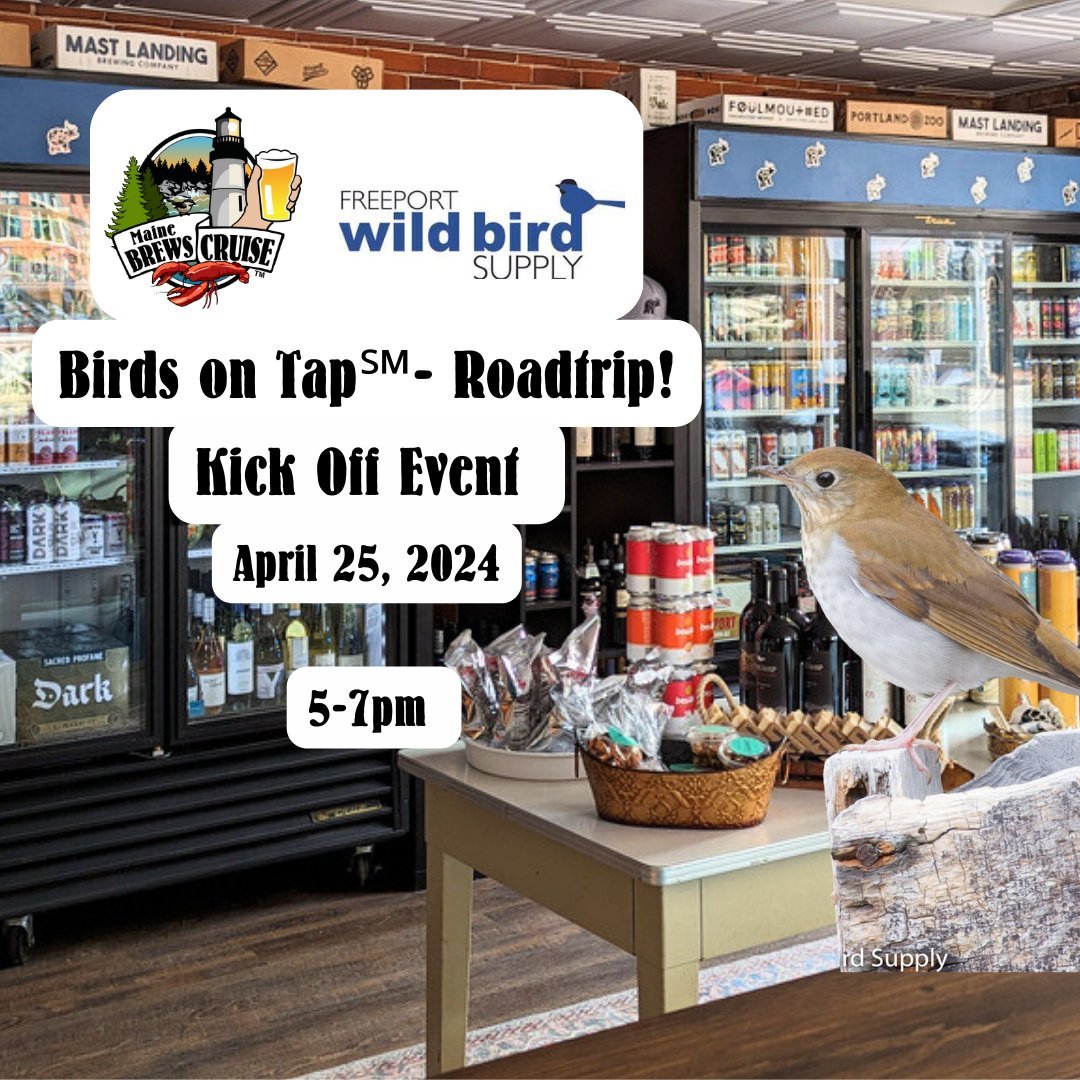 🐦Experience the best of both worlds with Birds on Tap: where seasonal birdwatching meets Portland's finest craft beers 🍻

Join Birding Guide and owner of Freeport Wild Bird Supply Derek Lovitch, and @mainebrewscruise owner Zach Poole, for an exclus