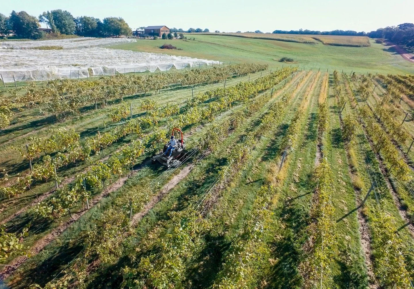 From vineyard rows to orchard lanes, ALTOZ tracked mowers are built for agricultural terrain. With superior traction on slopes, minimal ground pressure to protect soil, and the power to handle long growth between rows, ALTOZ lets you maintain vineyar