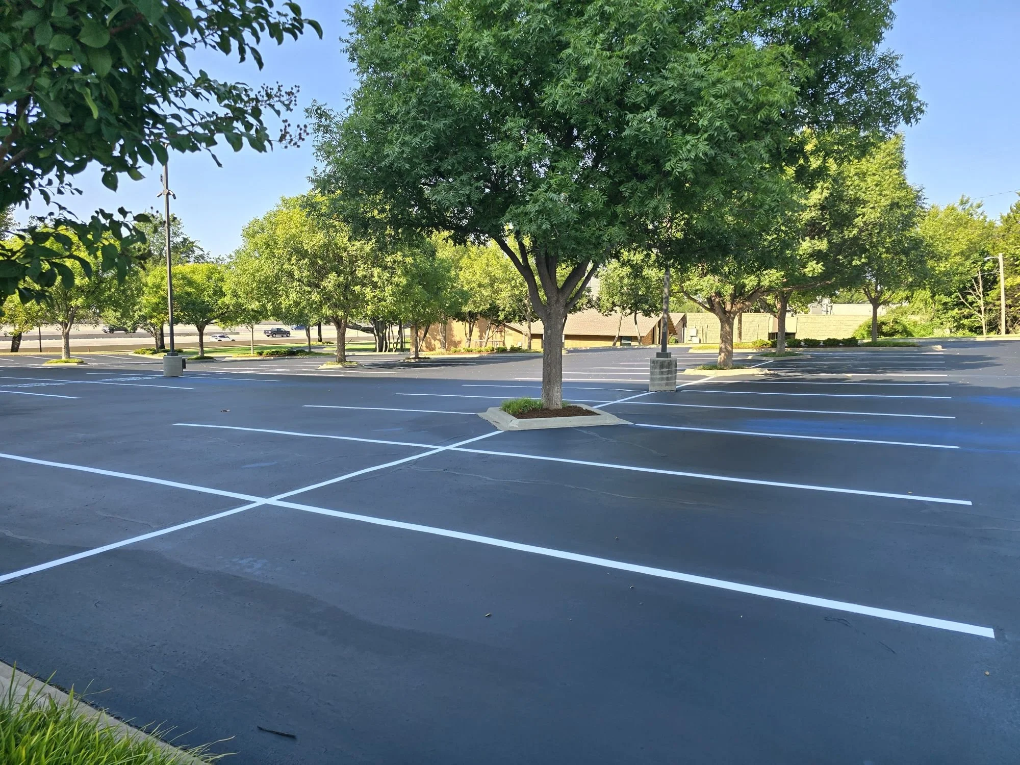 Newly sealcoated parking lot with fresh white stall lines around a tree island at a MidFirst Bank corporate office in Oklahoma City