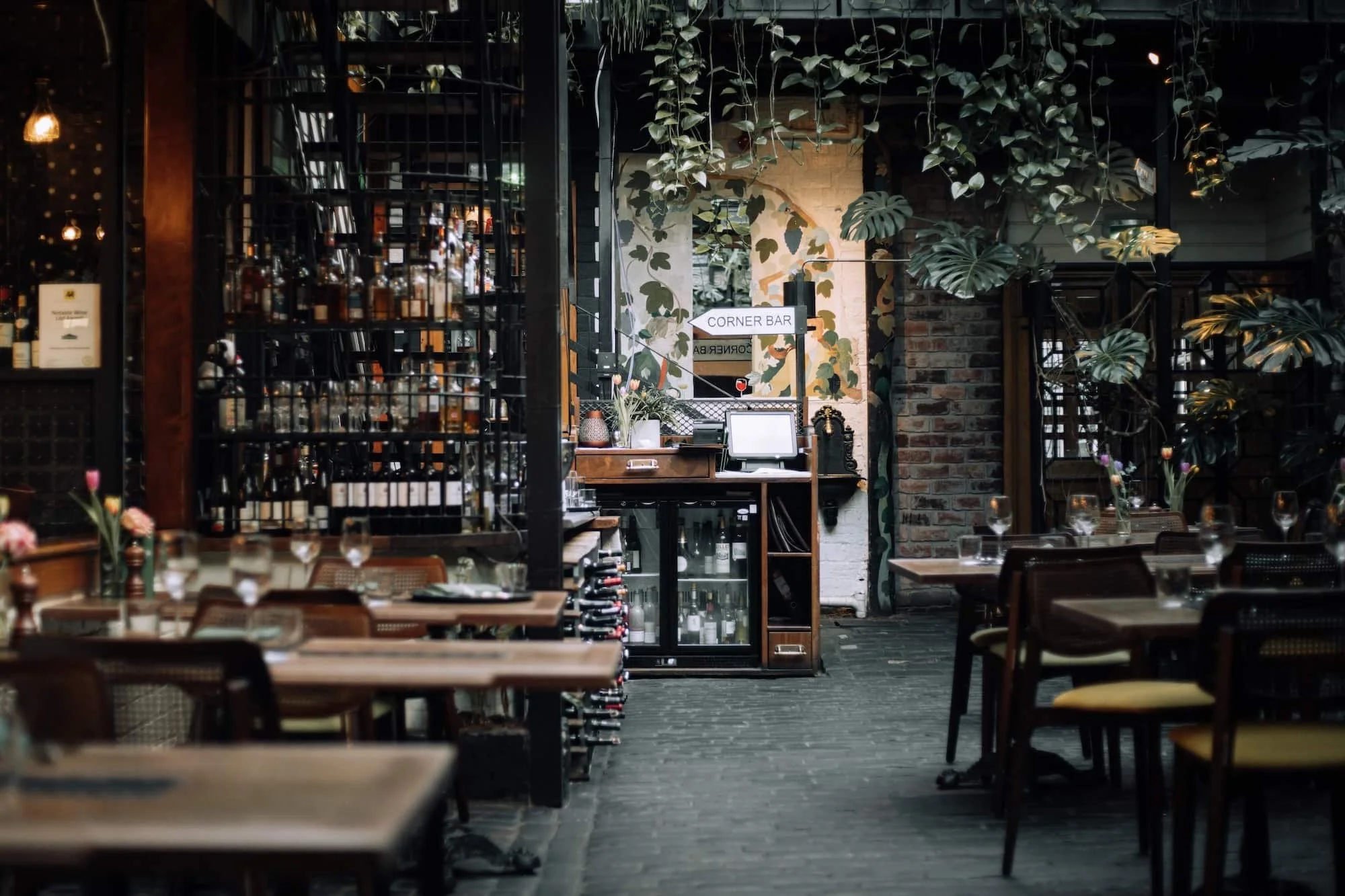 Ubiquitous Chip 20-min.jpeg