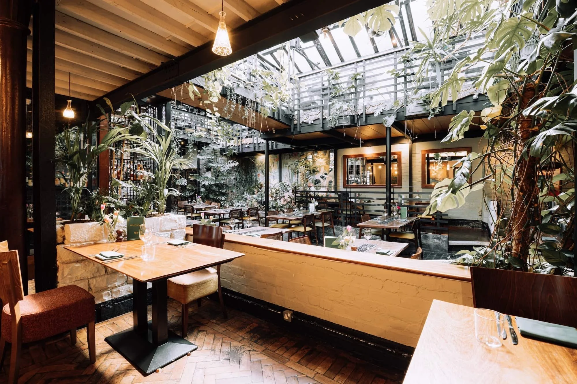 Ubiquitous Chip 9-min.jpeg