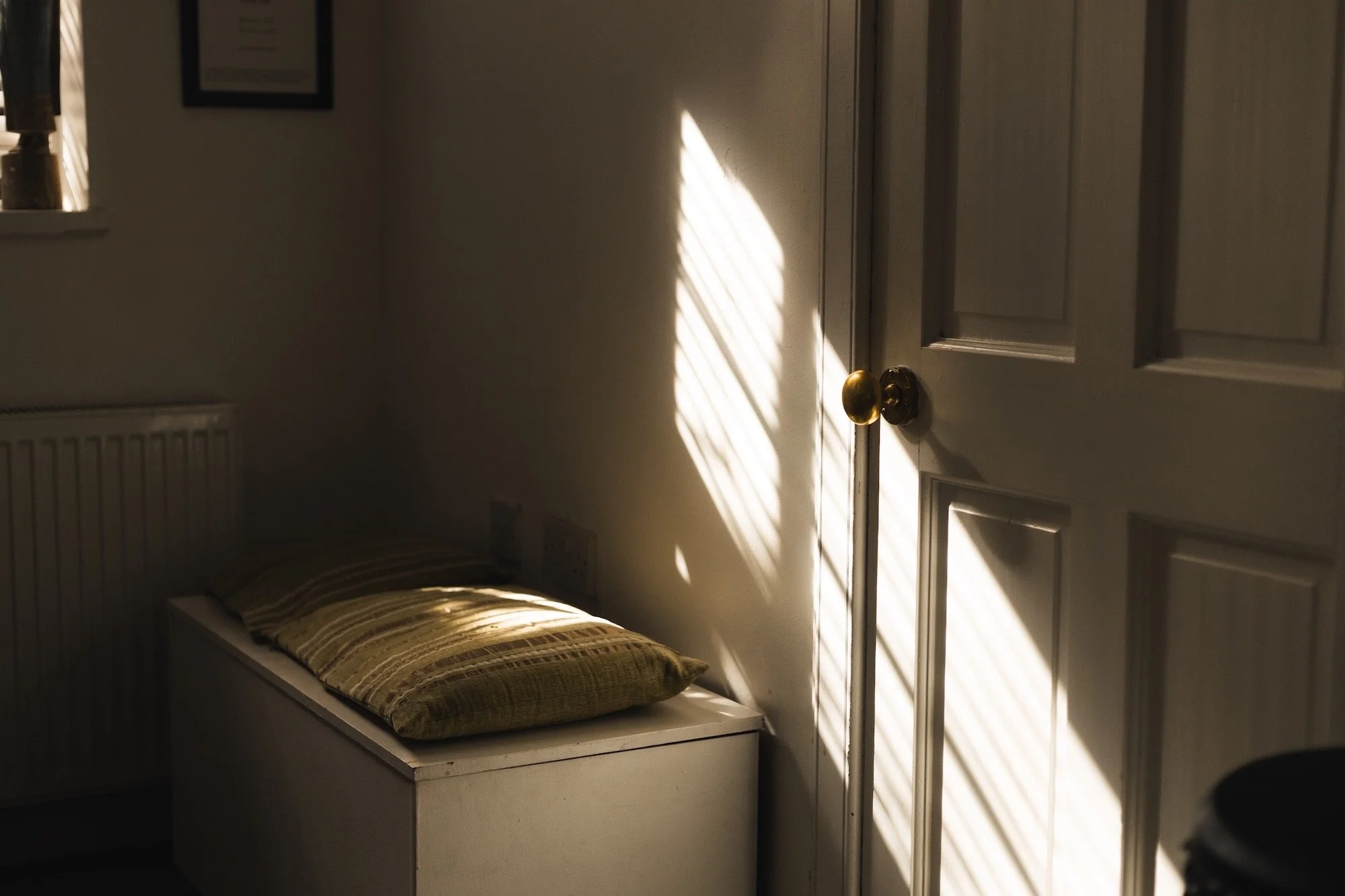 Louise Brunjes 3.jpeg