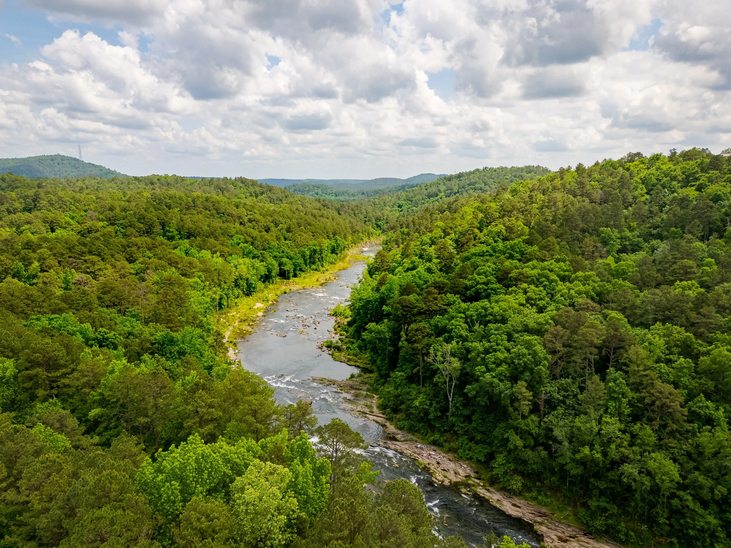 Fall Foliage at Beavers Bend: A Complete Visitor's Guide