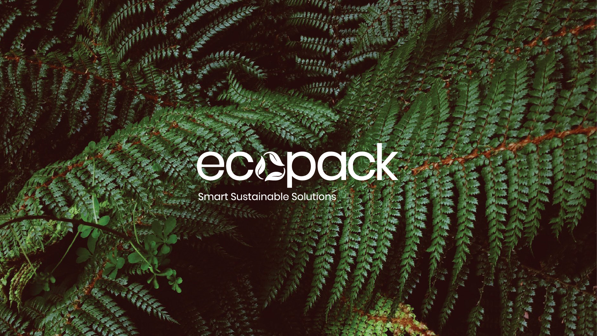 ecobags-profile_IM-LARGE copy 4.png
