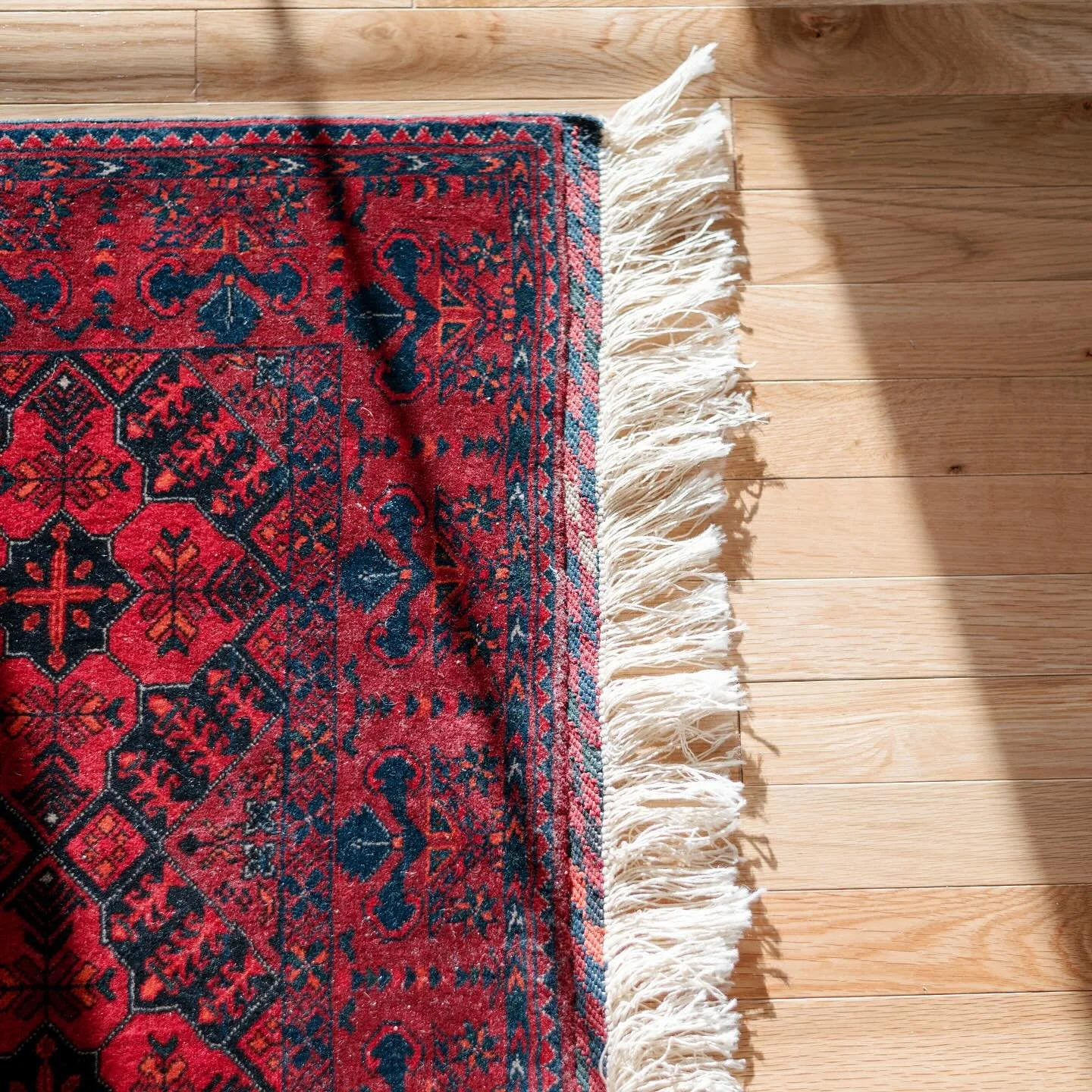 Shadow play on this 20th century crimson Baluch. Soft, thick, tiny but mighty, excellent condition. Avail at link in bio 🥀

#eliasdesignco #rugsofinstagram #slcvintage #thriftfinds #sodomino #artofhome #magnoliamarket #homereno #vintagepersianrug #v