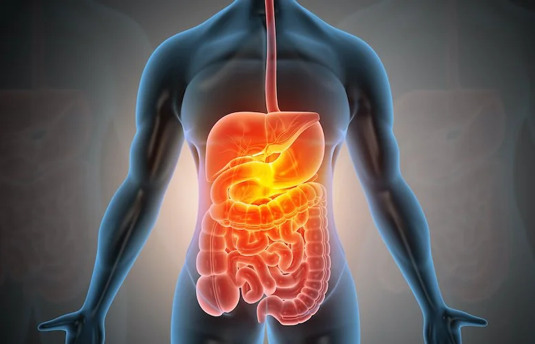 HLTAAP001 Recognise healthy body systems