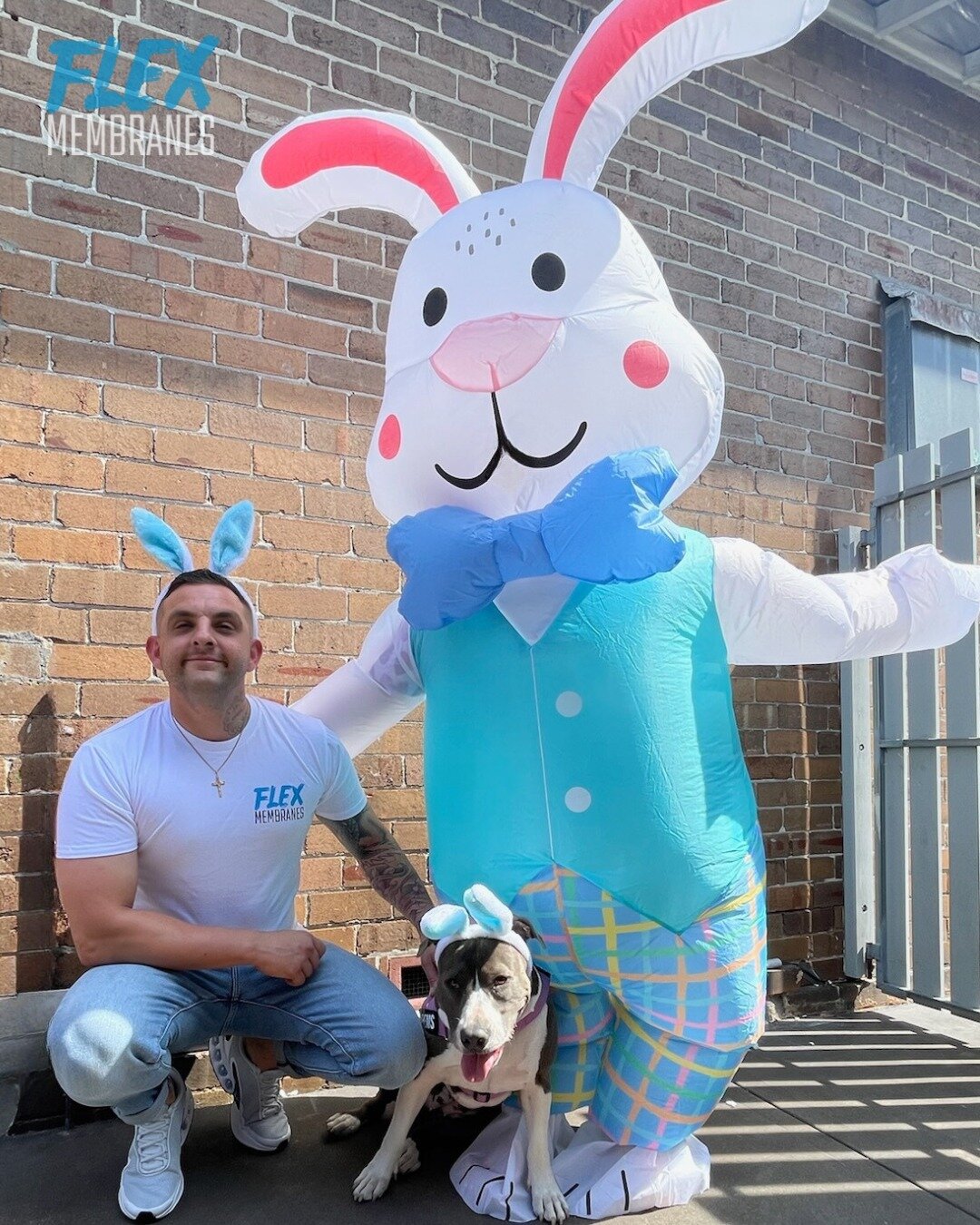 Hoppy Easter from the Flex team 🐰 

We had a special visit from the Easter Bunny, we hope you did too 😂

Wishing you all a happy and safe long weekend! 

#sealofapproval #flexmembranes #waterproofingspecialists #waterproofingmembrane #waterproofing