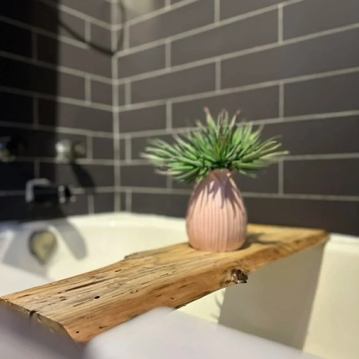 Planche de bain