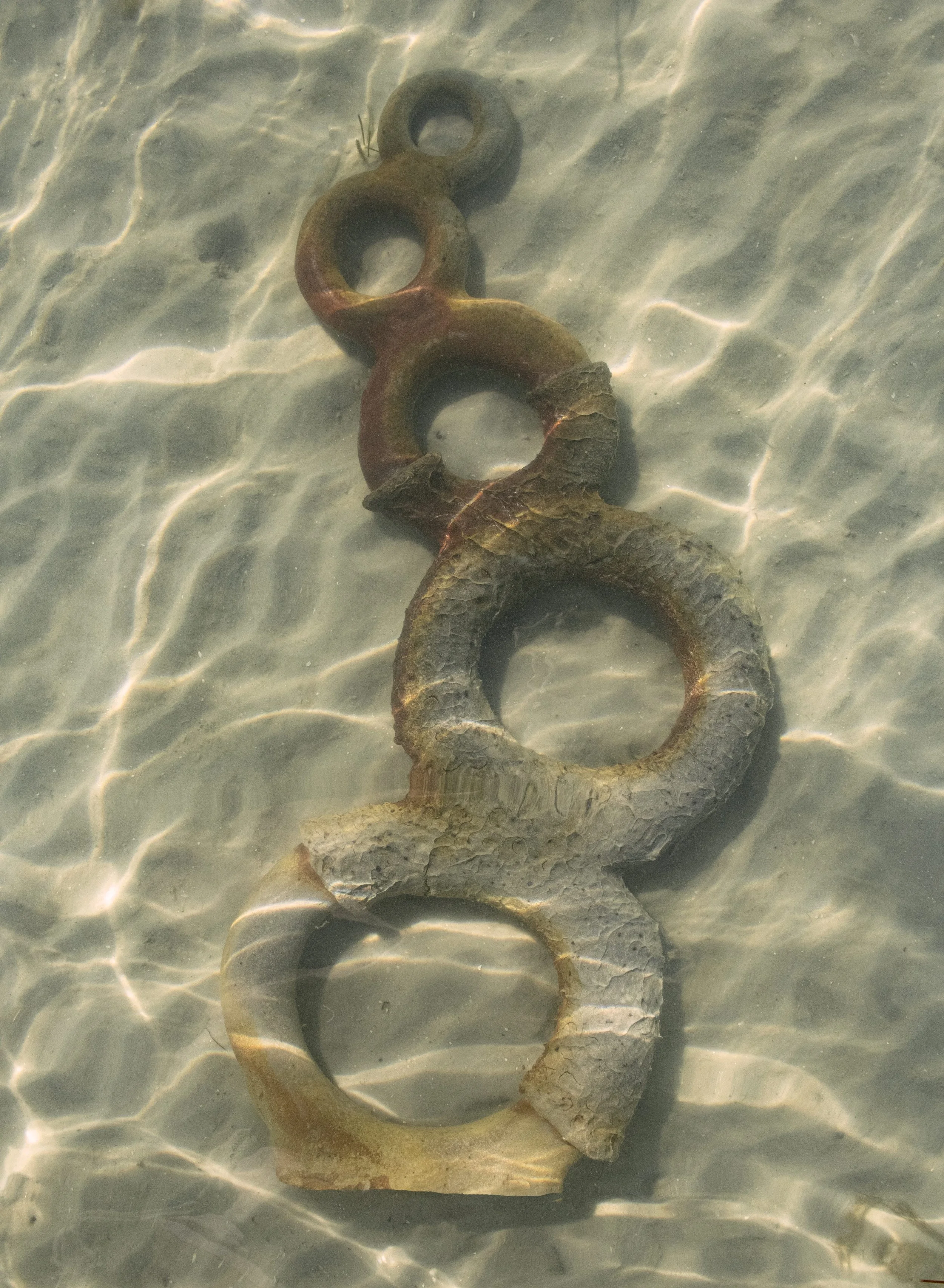 Wood Donut Underwater.jpg