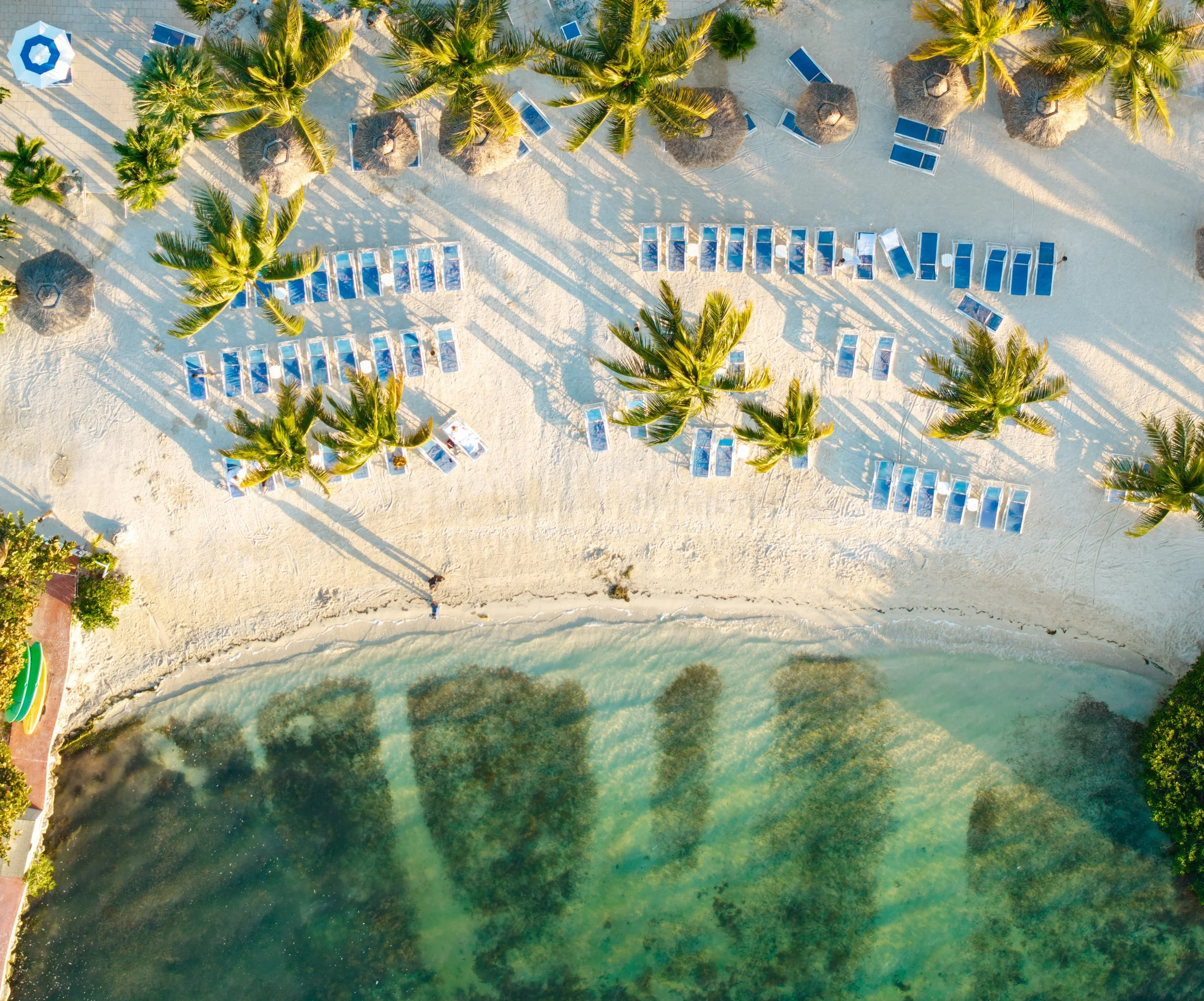 dji_fly_20260207_173412_0118_1770504245307_photo.jpg
