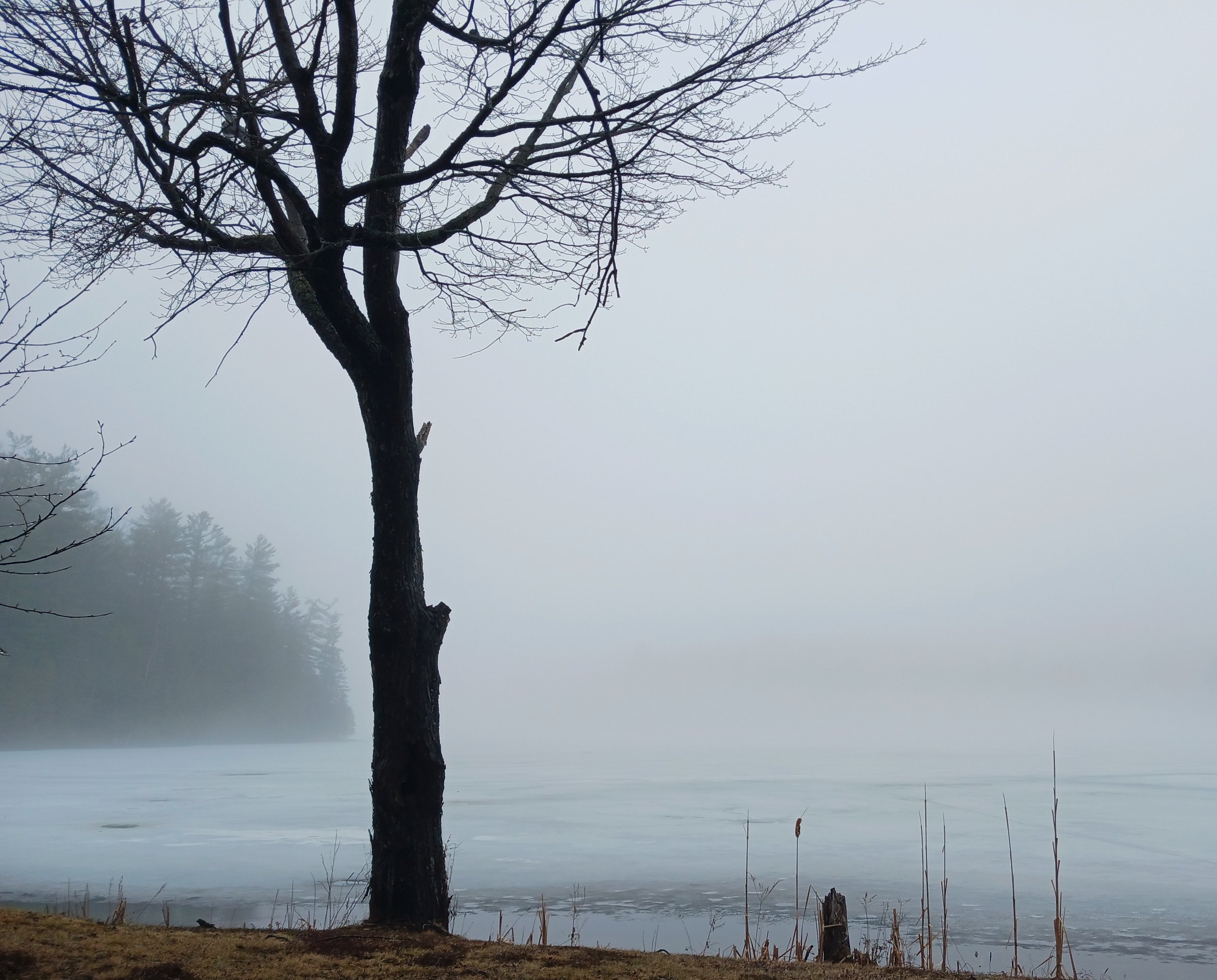 Meditation Retreat with Kevin Lacroix
