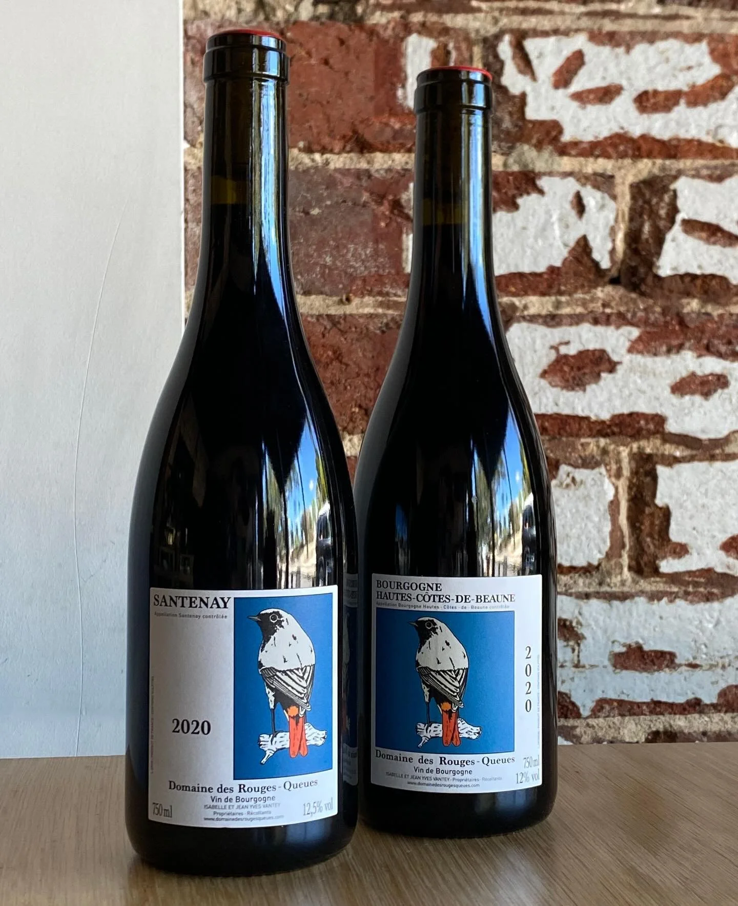 🦅 SANTENAY 🤝  STEAK-NIGHT 🌞

Domaine des Rouges-Queues is a tiny Biodynamic producer in Burgundy crafting pure &amp; expressive wines.
Hand-Harvested.
Low-Intervention.
Terroir-Driven.
These are a kind of Pinot Noir that feel alive in the glass.

