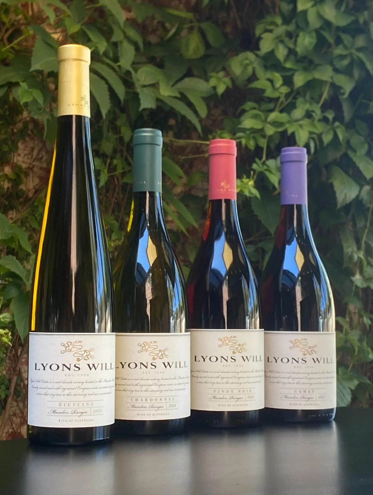 Lyons Will Estate is Macedon Ranges done right: high-altitude acidity, precise winemaking, and wines that are lean, pure and quietly brilliant. If you like cool-climate elegance with real detail, this is where you should be drinking.