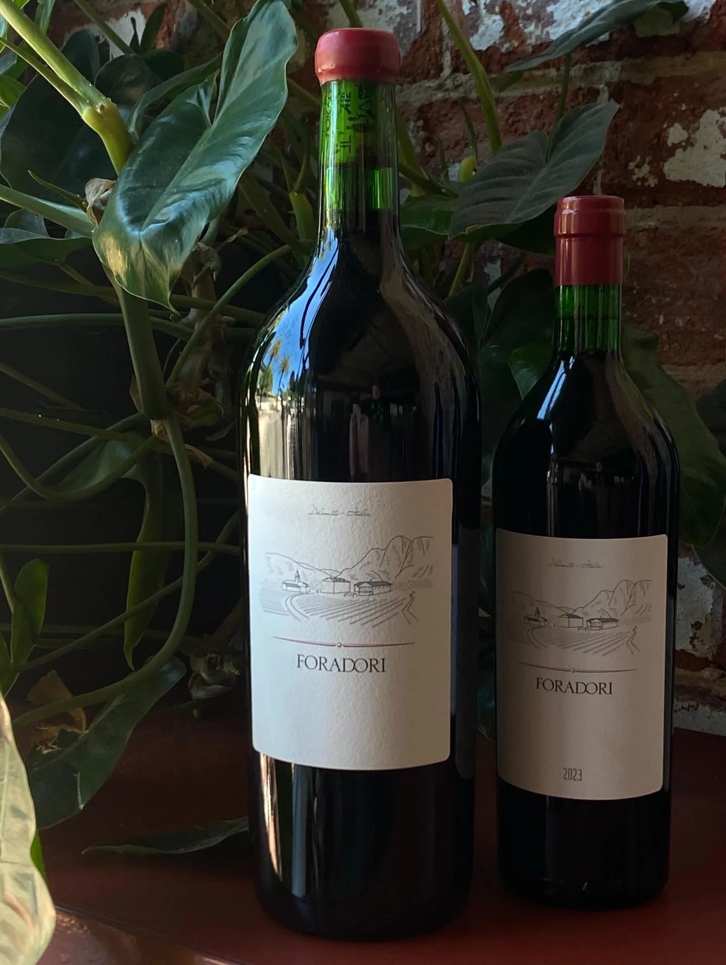 Weekend ready with @agricolaforadori 

Big Teroldego, Small Teroldego.
Special Teroldego &amp; a very peculiar kind of white wine from the Dolomites. We adore these distinct wines from a dynamic part of Italy, an early adopter of natural farming and 