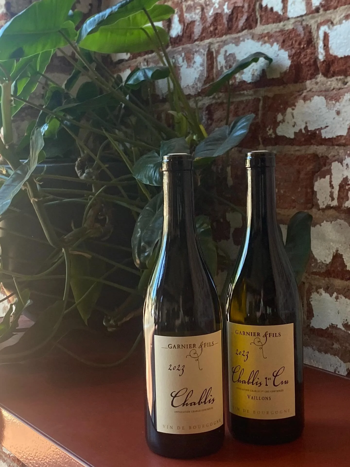 Midweek Chablis when the sun beams down like it does today?

A no-brainer &hellip;  if you ask us &hellip;

New bottles from @garnier_et_fils_chablis 
Village and Vaillons
Thanks to our friends at @halleauxvins