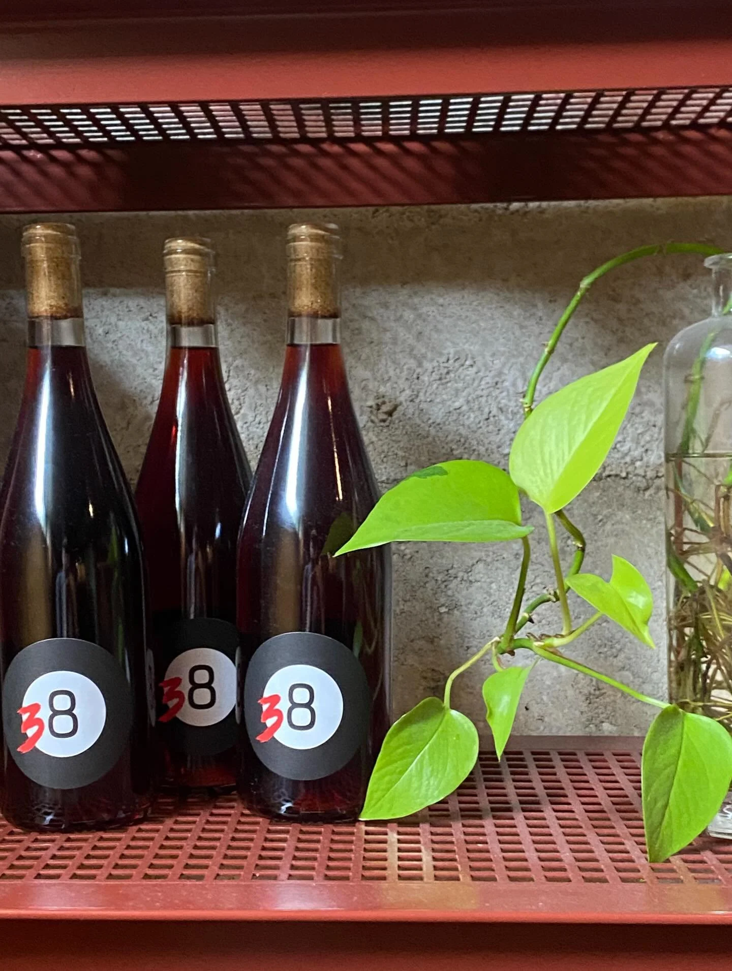 When the weather here won&rsquo;t decide, we&rsquo;re reaching for some easy drinking, splashy light reds.
We had a look at the last few Magic 38s from @unicozelo 
Something that lives in the fridge looks pretty good to us this afternoon&hellip;