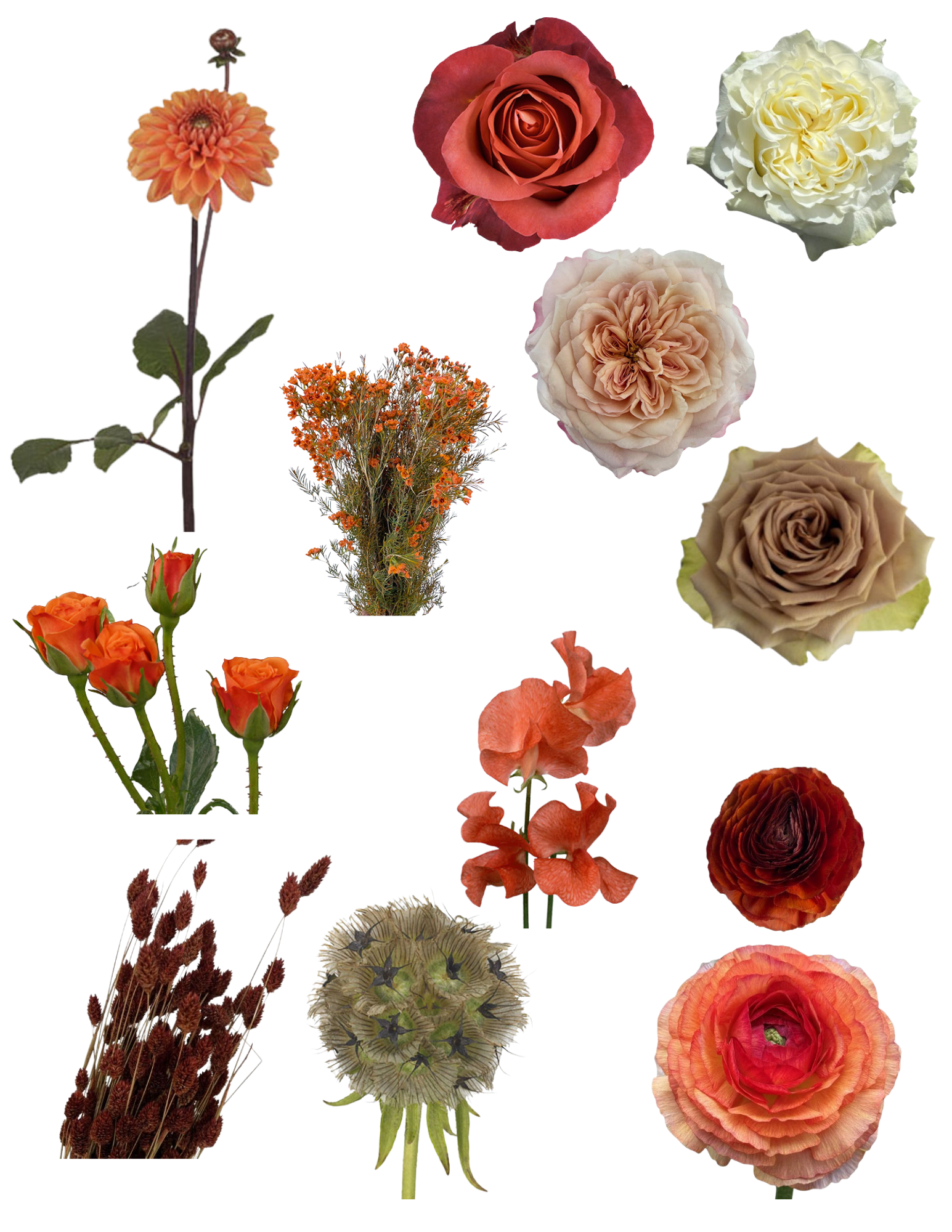Blue Toile (7).png