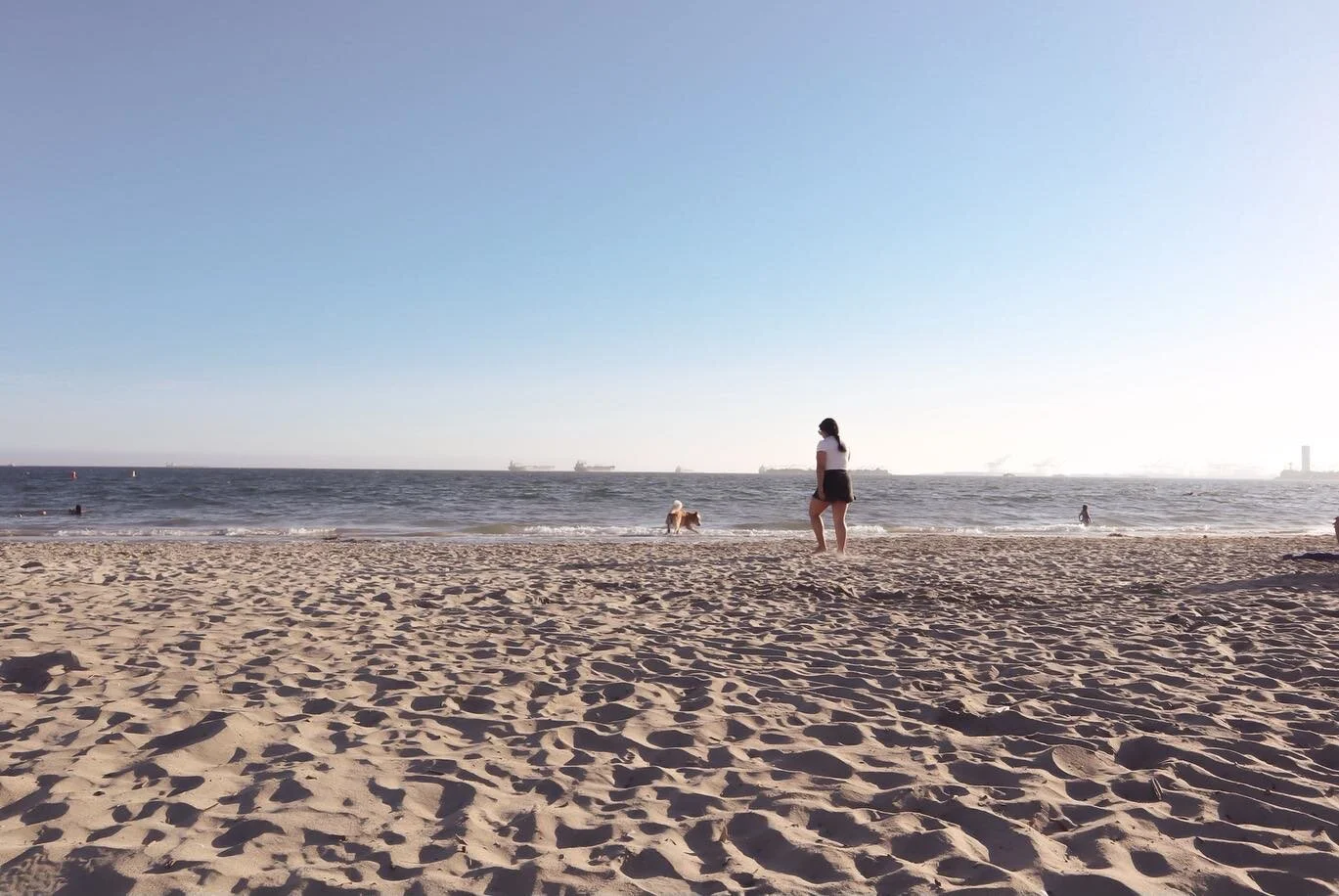 Capturing moments.

Happy Veterans Day to all who have served our country. Wishing you, and your loved ones a great weekend. 

#veteransday #dogbeach #longbeach #longbeachca #weekend #family