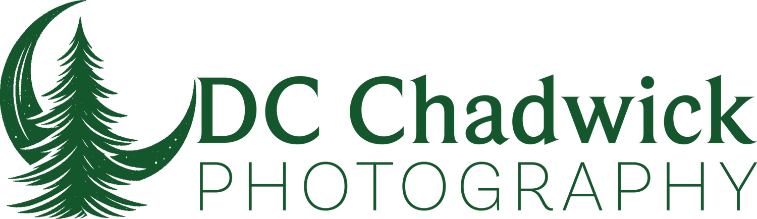 DC Chadwick Photography | Family, Portrait, &amp; Event Photography Based In Central North Carolina