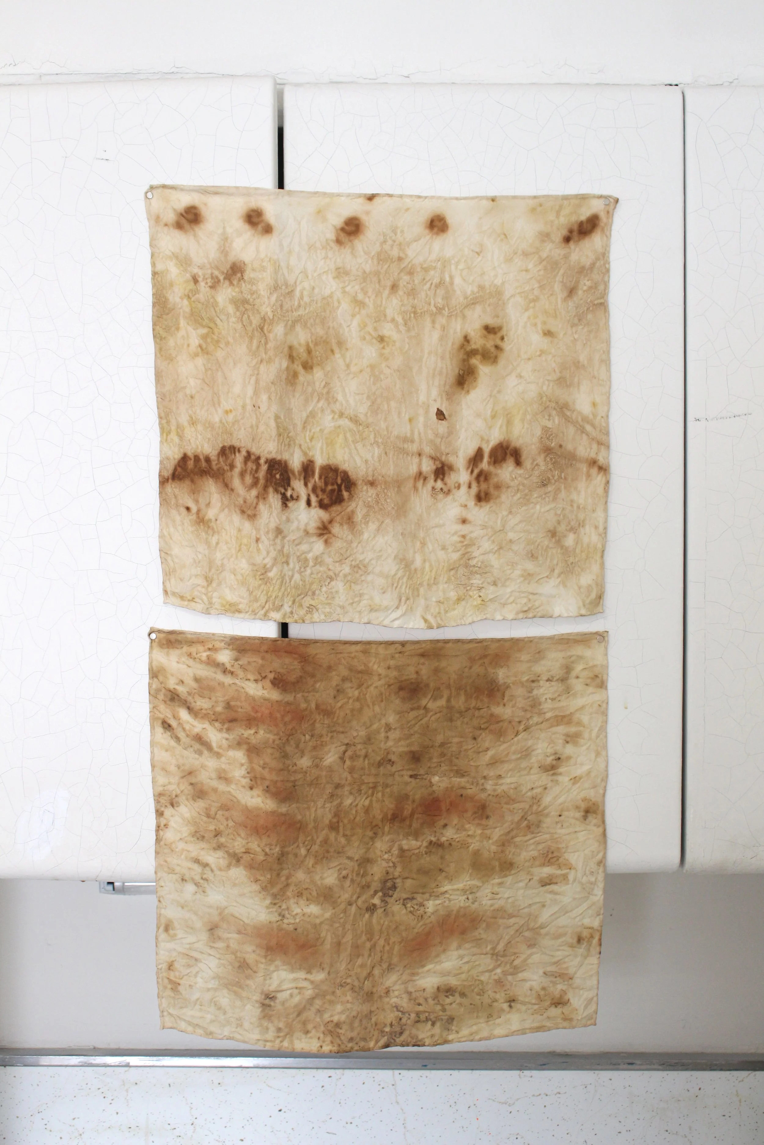 AnkhLave Artist Residency on Governors Island. Compost dye with eucalyptus, coffee, chamomile, black tea on silk, January 2025.