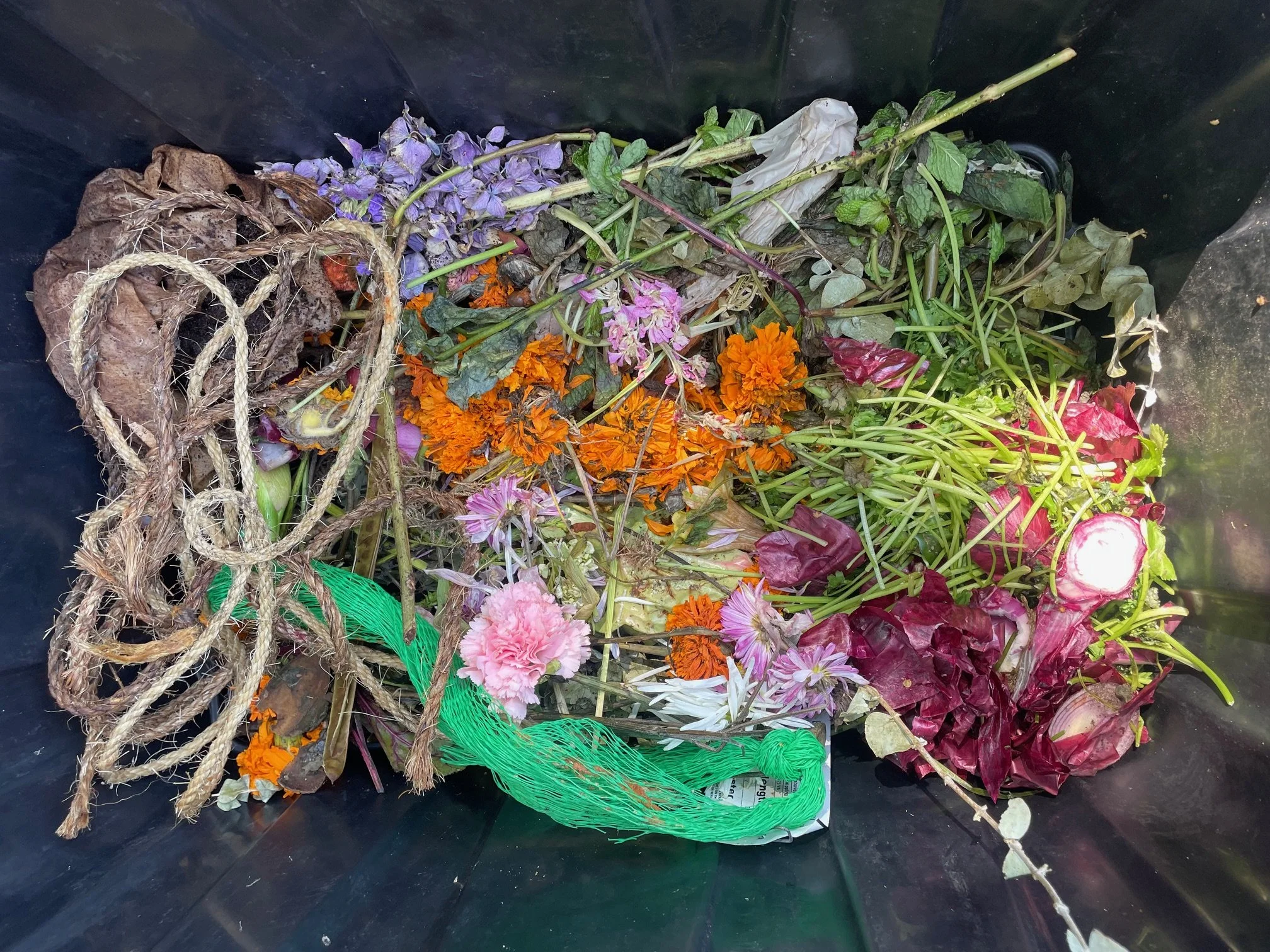 AnkhLave Artist Residency on Governors Island : Earth Matter Compost Dyeing process photographs, June 2025