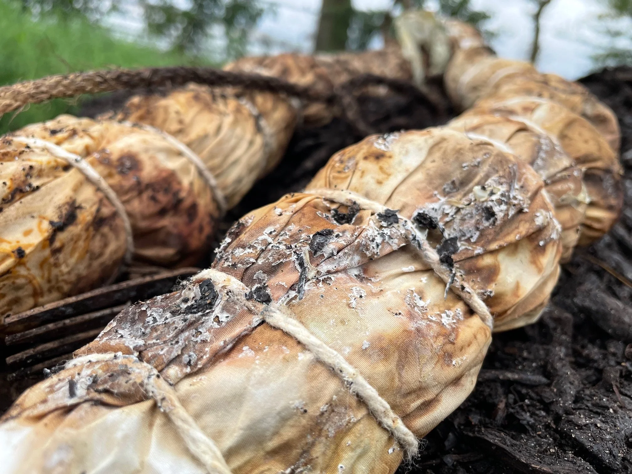 AnkhLave Artist Residency on Governors Island : Earth Matter Compost Dyeing process photographs, June 2025