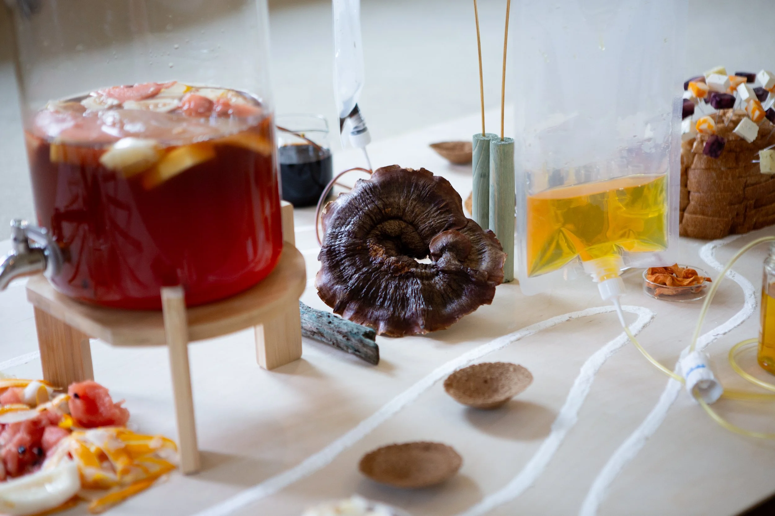 The Course (2025). Photo: HONG Jiyoung. Courtesy of set (KIM Yurmyurng, FOG Jiyul, LEE Jungmin) 코스(2025). 사진: 홍지영. 제공: 셋(김여명, 김지율, 이정민)
