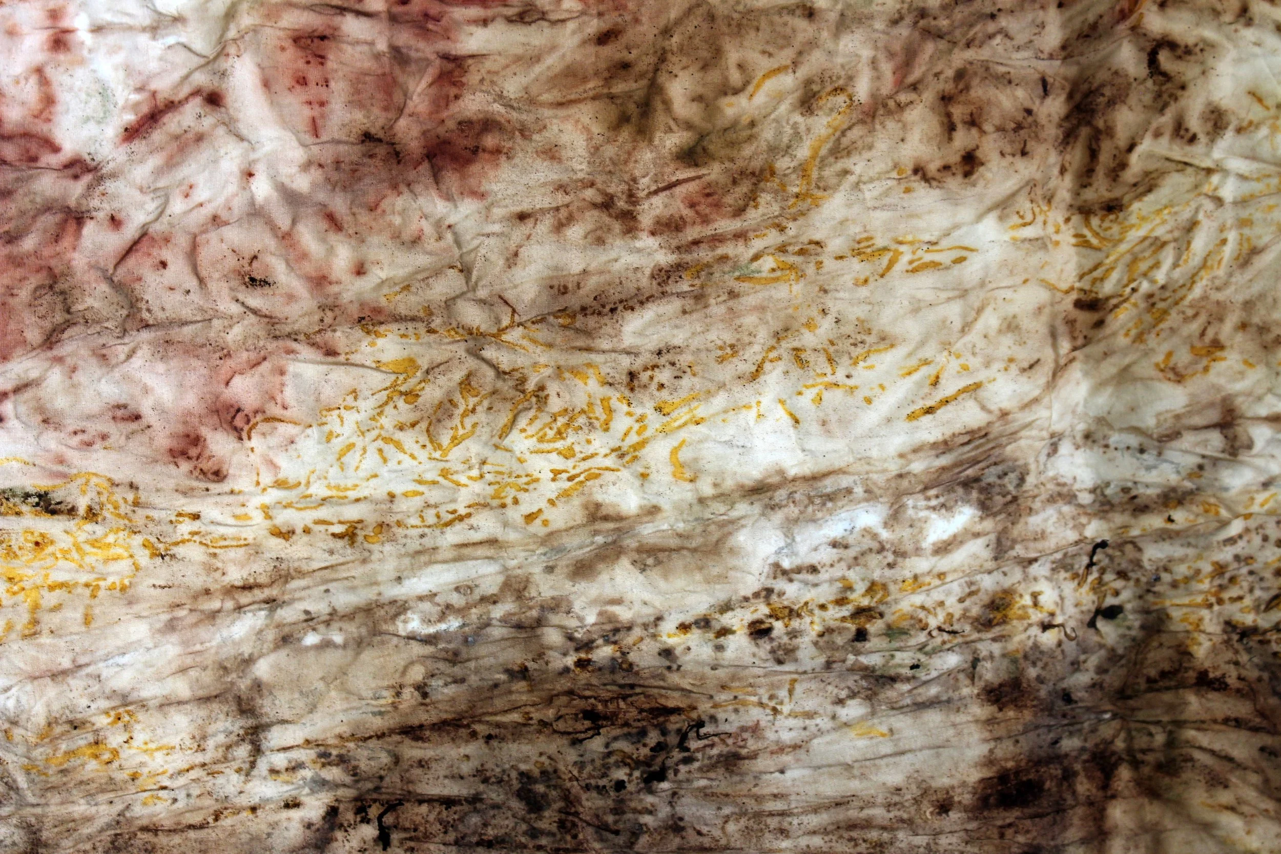 AnkhLave Artist Residency on Governors Island : Earth Matter Compost Dyeing process photographs, June 2025