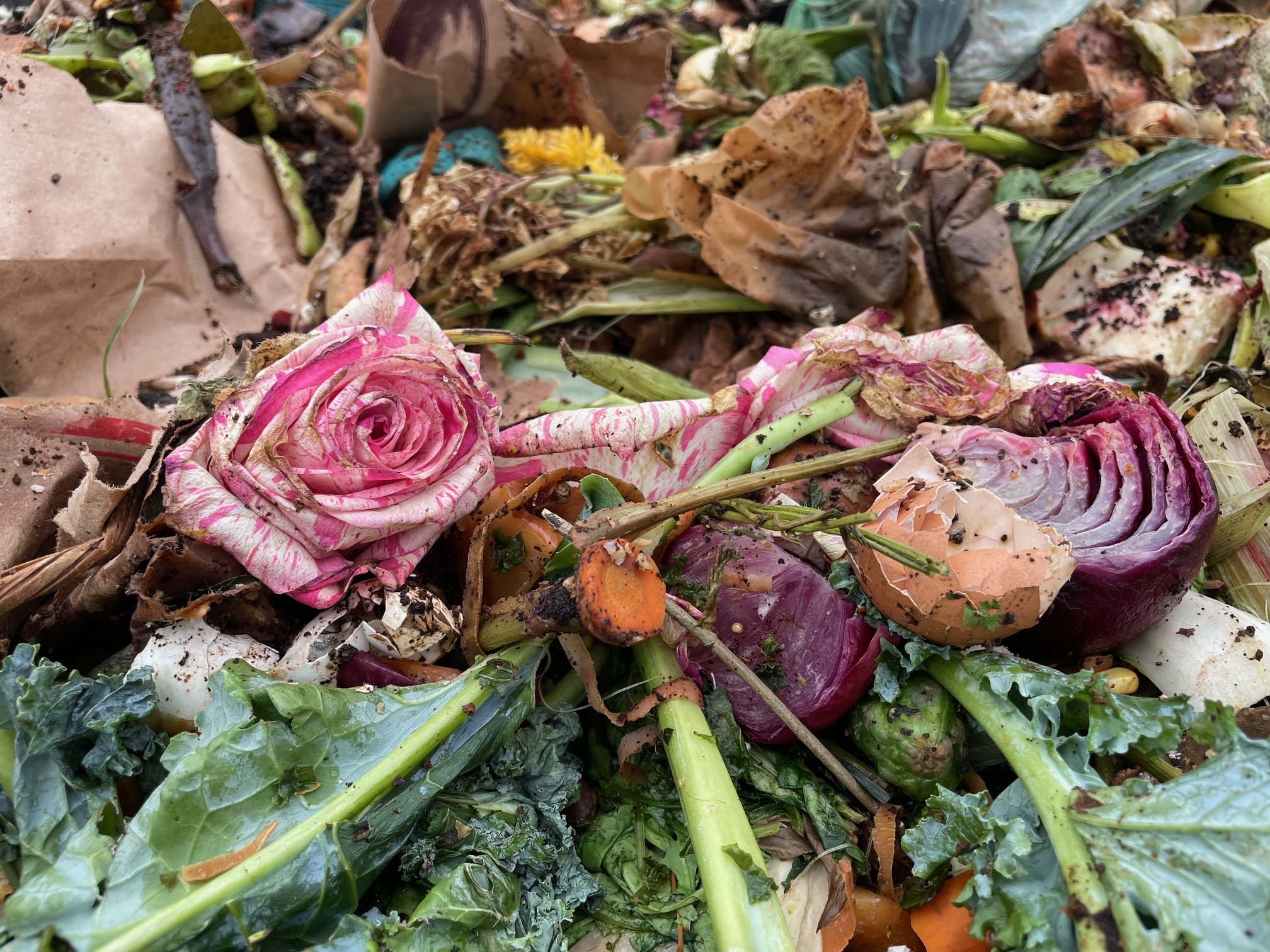 AnkhLave Artist Residency on Governors Island : Earth Matter Compost Dyeing process photographs, June 2025