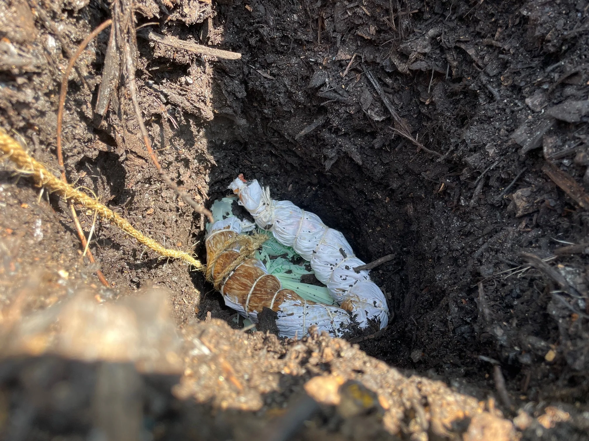 AnkhLave Artist Residency on Governors Island : Earth Matter Compost Dyeing process photographs, June 2025