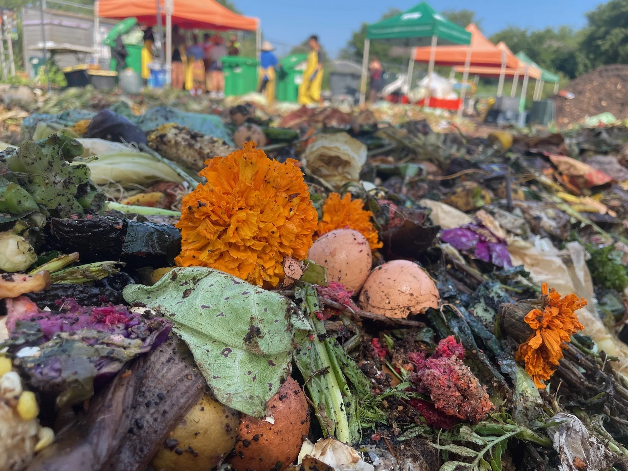 AnkhLave Artist Residency on Governors Island : Earth Matter Compost Dyeing process photographs, June 2025