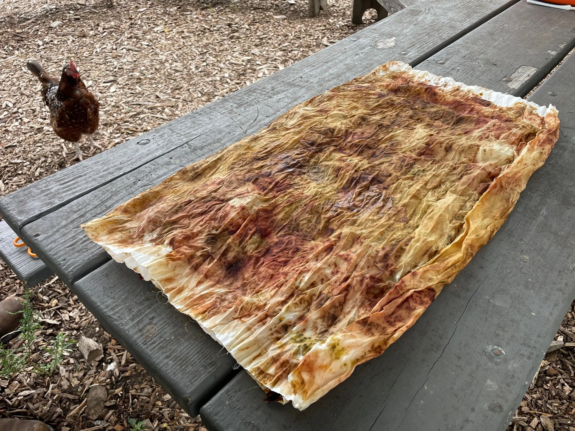 AnkhLave Artist Residency on Governors Island : Earth Matter Compost Dyeing process photographs, June 2025