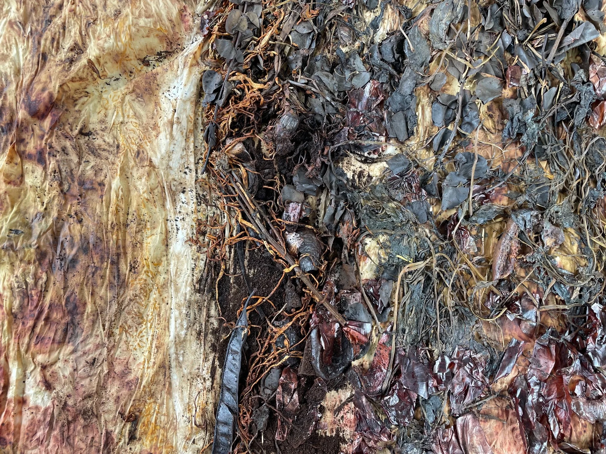 AnkhLave Artist Residency on Governors Island : Earth Matter Compost Dyeing process photographs, June 2025