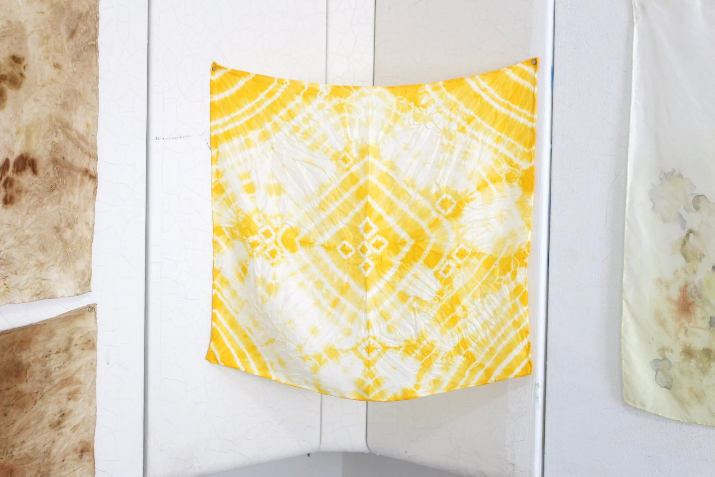 AnkhLave Artist Residency on Governors Island. Cordyceps on silk, November 2024.