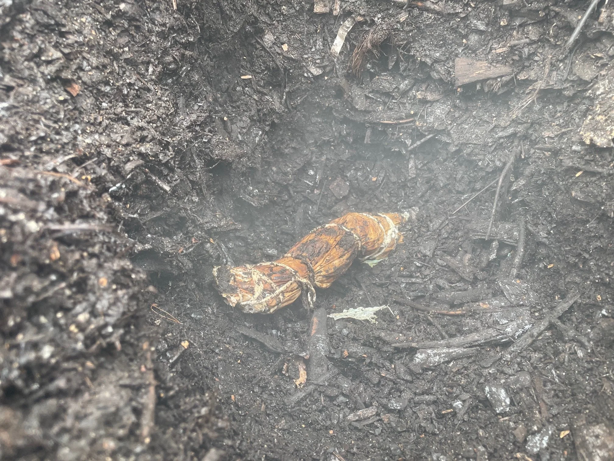 AnkhLave Artist Residency on Governors Island : Earth Matter Compost Dyeing process photographs, June 2025