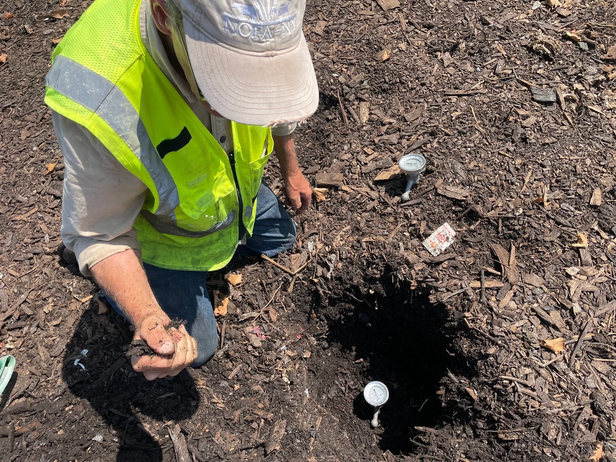 AnkhLave Artist Residency on Governors Island : Earth Matter Compost Dyeing process photographs, June 2025