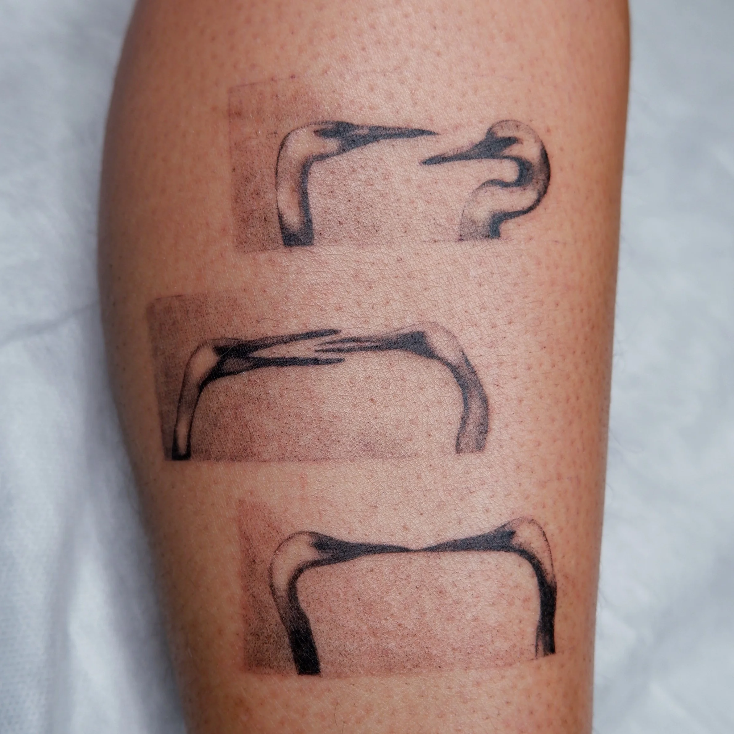 30BBB3C0-AD7A-4D3D-B2BE-A72F52C65F0D-28391-000004BFD698A6EC 2.jpg