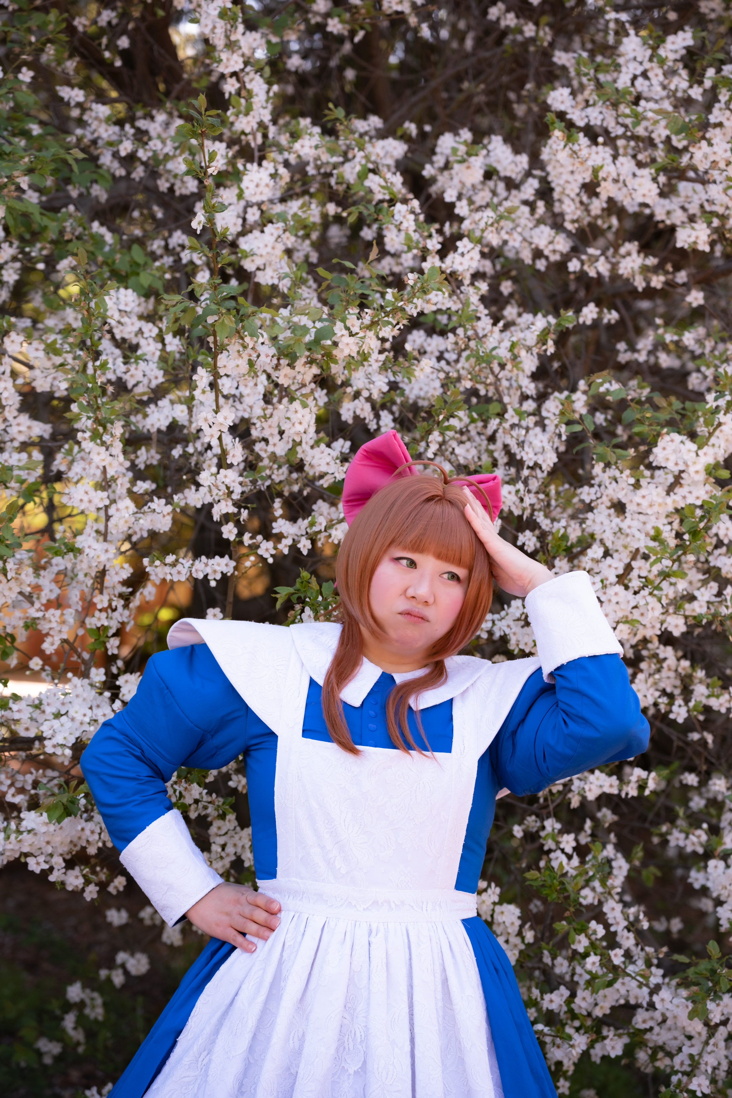 Sakura's Little Card Alice from CCS
(Photo by photogelaaa)