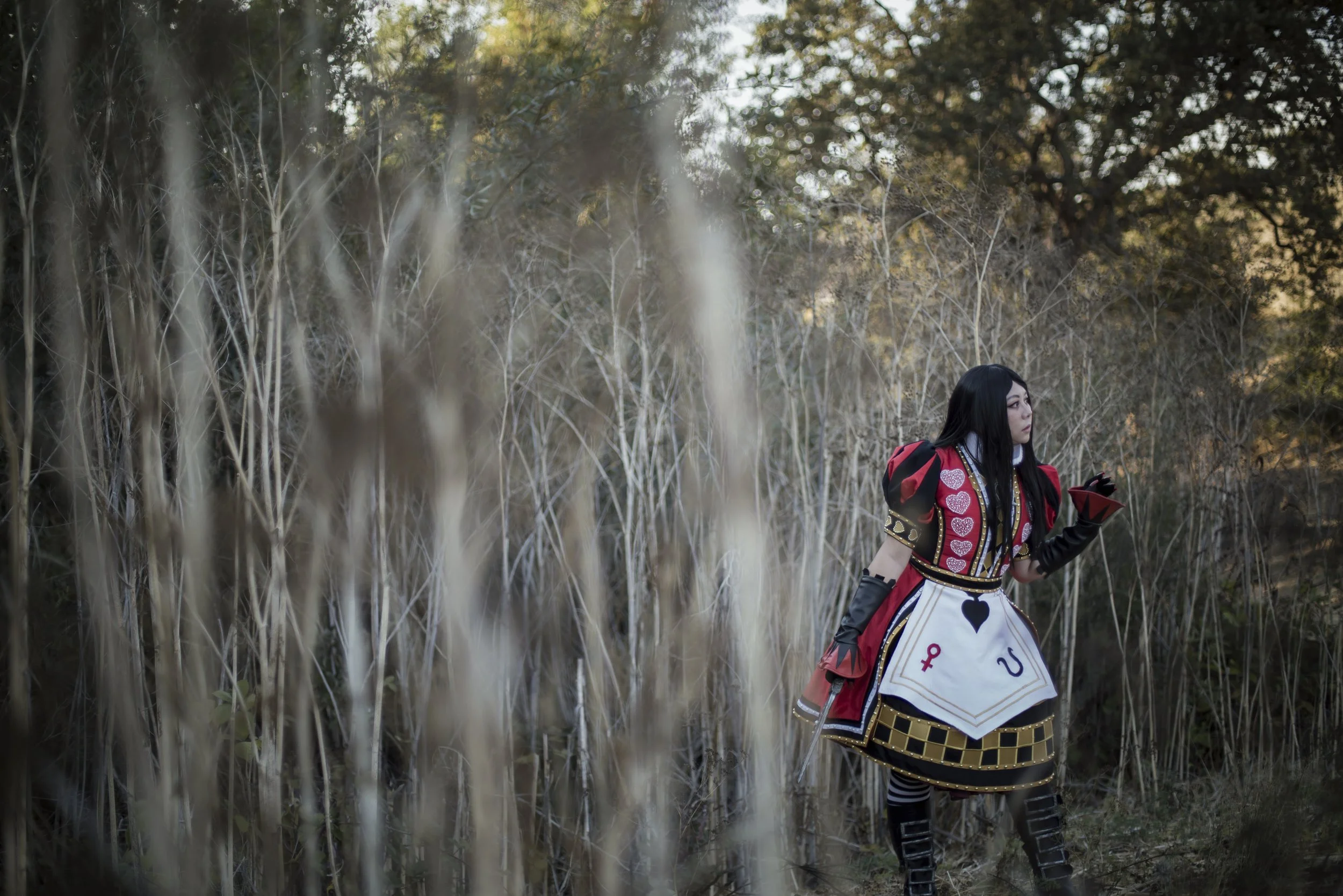 
Alice from Alice Madness Returns (Photo by Ying)
