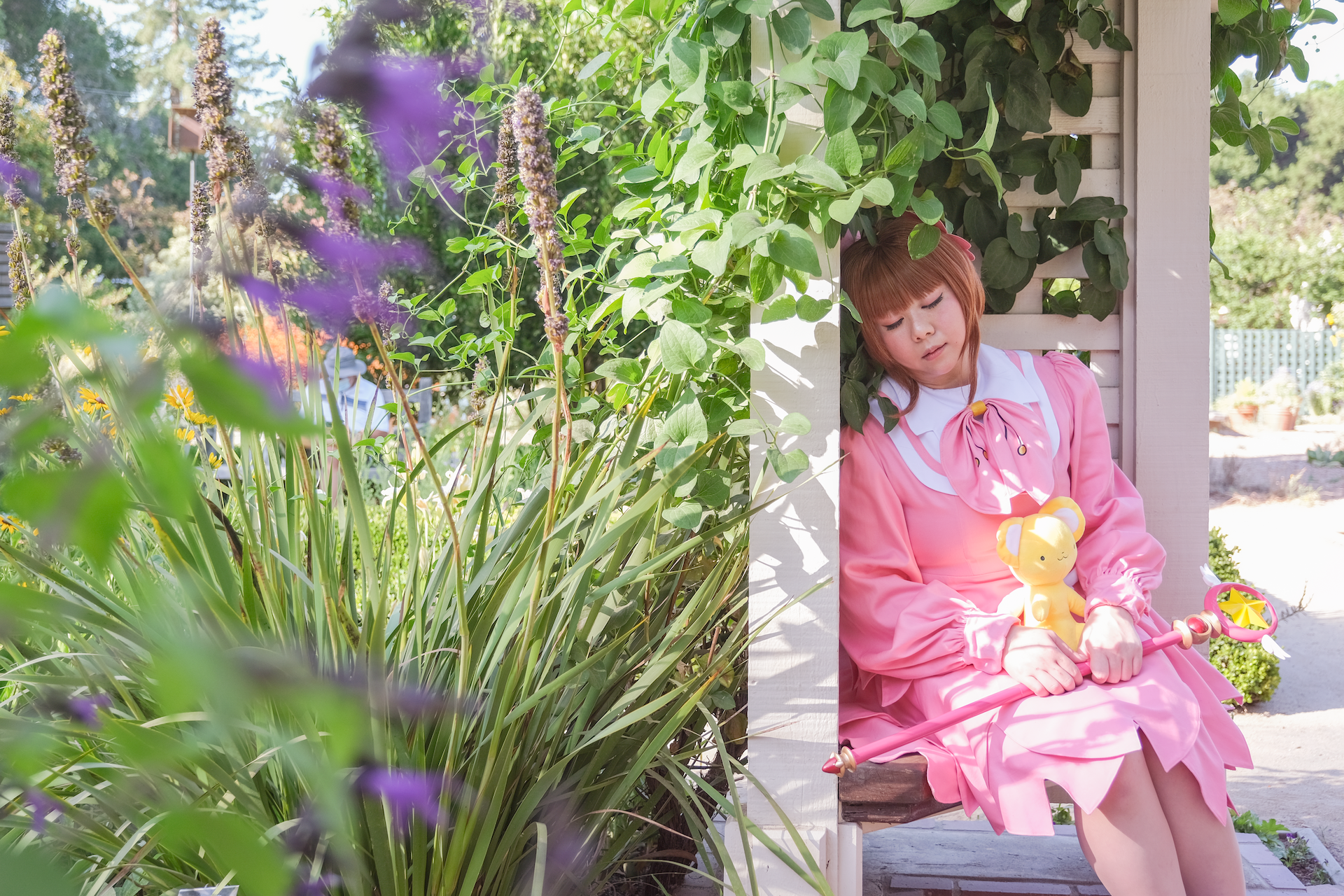 Sakura's CLAMP Festival 2011  (Photo by Ying)