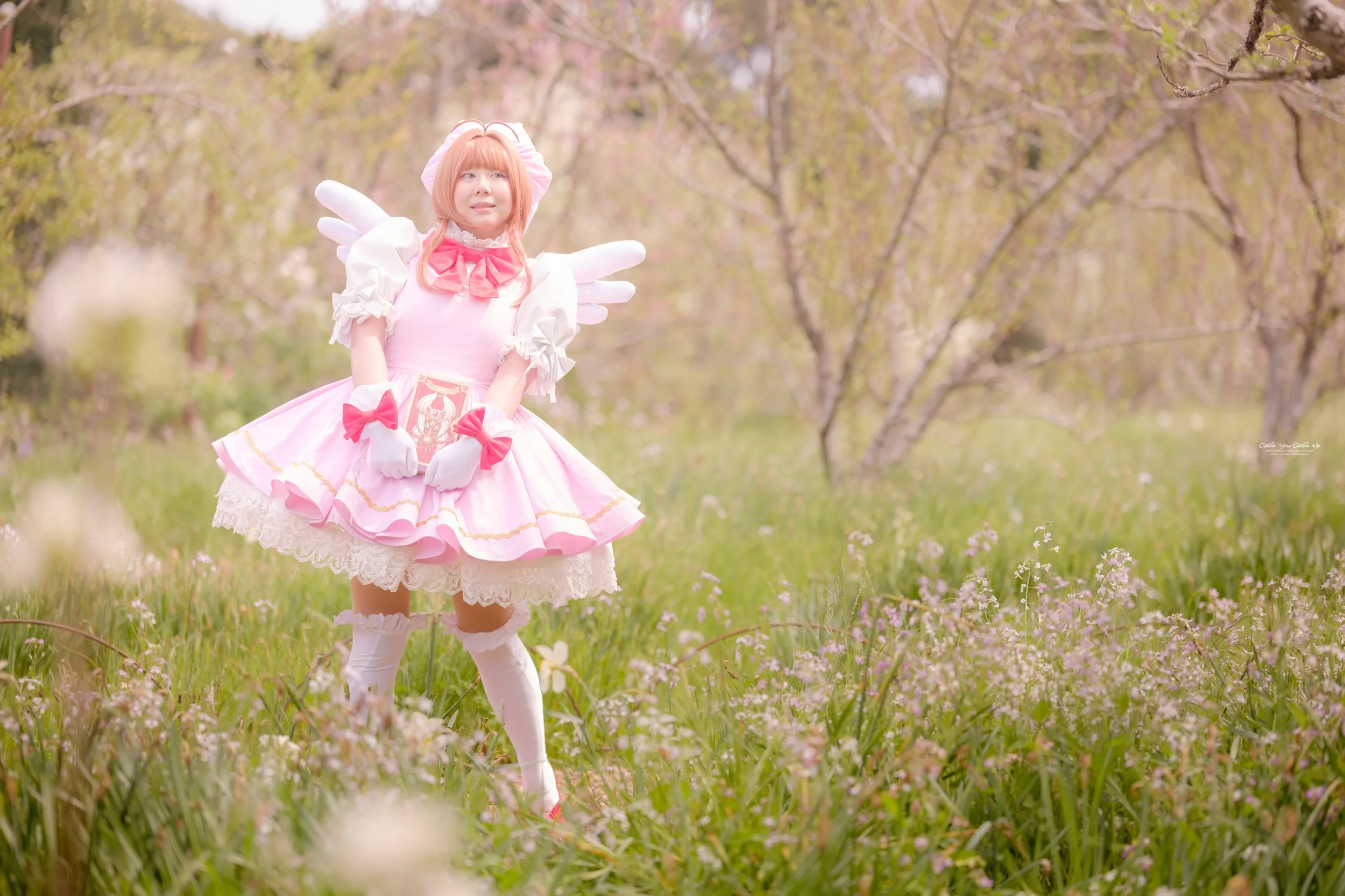 Sakura from Cardcaptor Sakura (Photo by Moshitea)