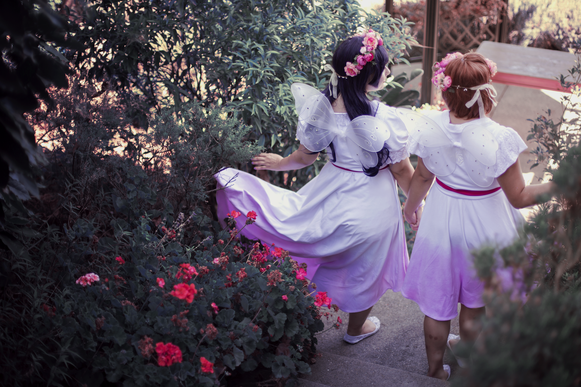 Fairy Sakura from CCS (Photo by Ying)