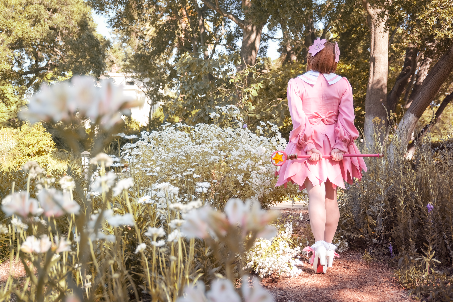 Sakura's CLAMP Festival 2011  (Photo by Ying)