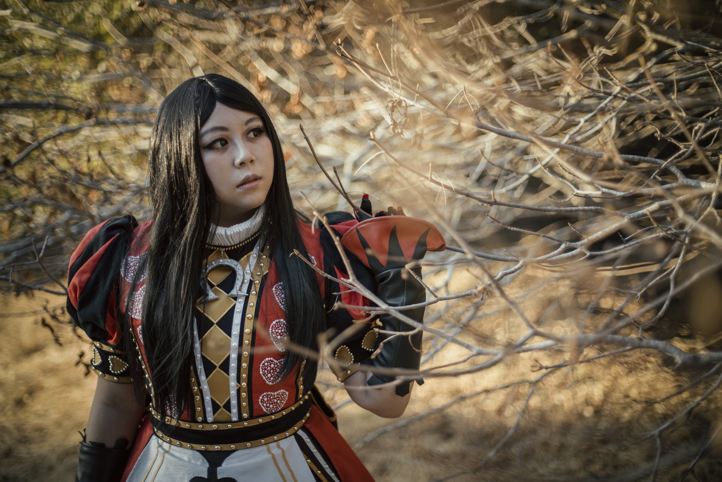 
Alice from Alice Madness Returns (Photo by Ying)
