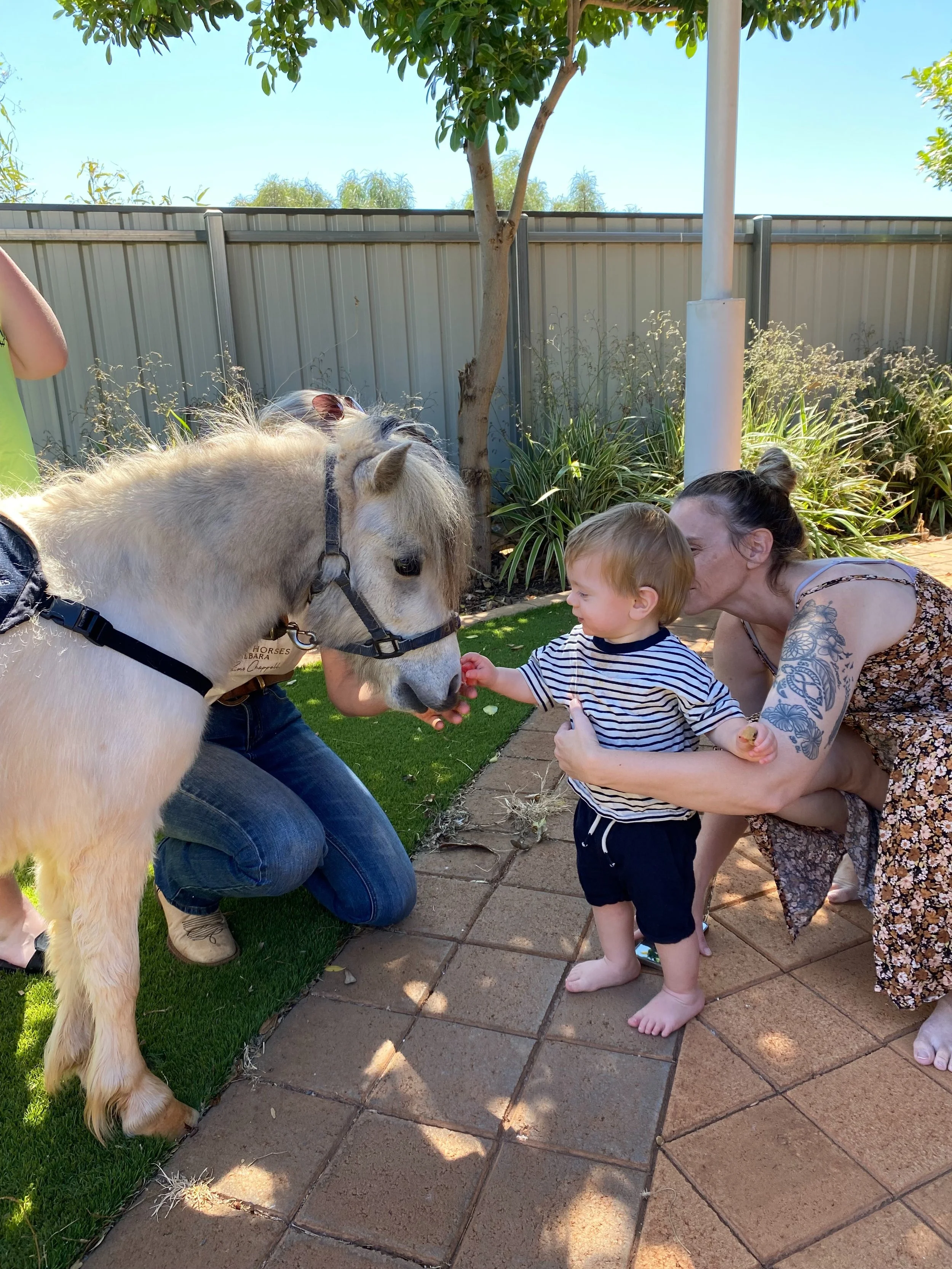 A young child with blonde hair, wearing a striped shirt and shorts, is being assisted by an adult with tattoos in giving a carrot to a small, white pony during a sunny day outdoors in a backyard garden.